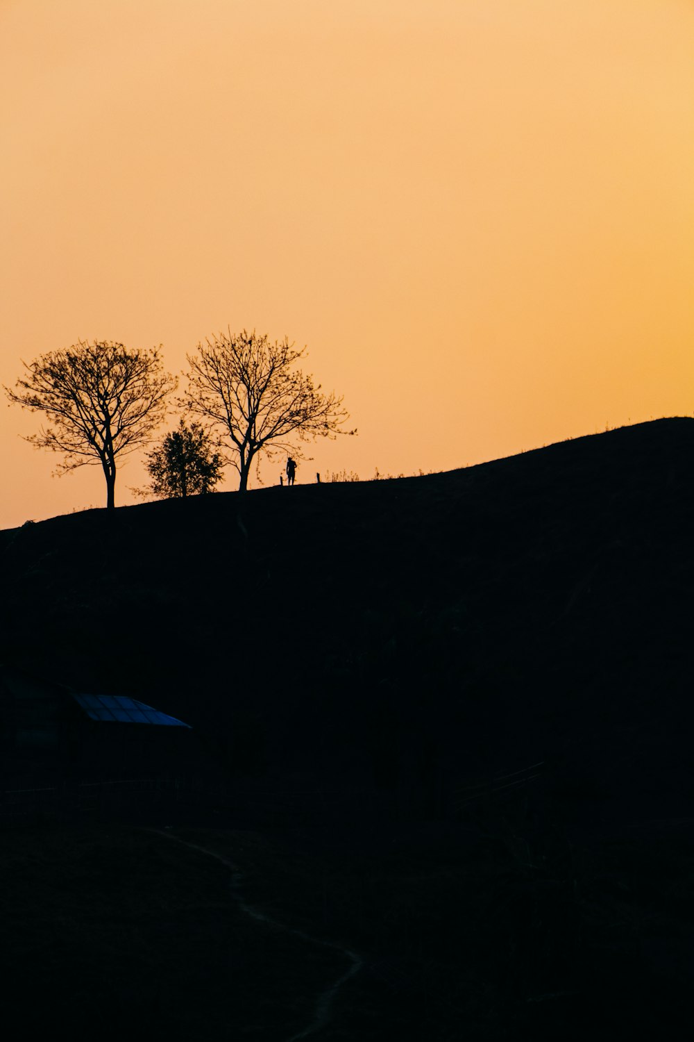 una persona che cammina su una collina