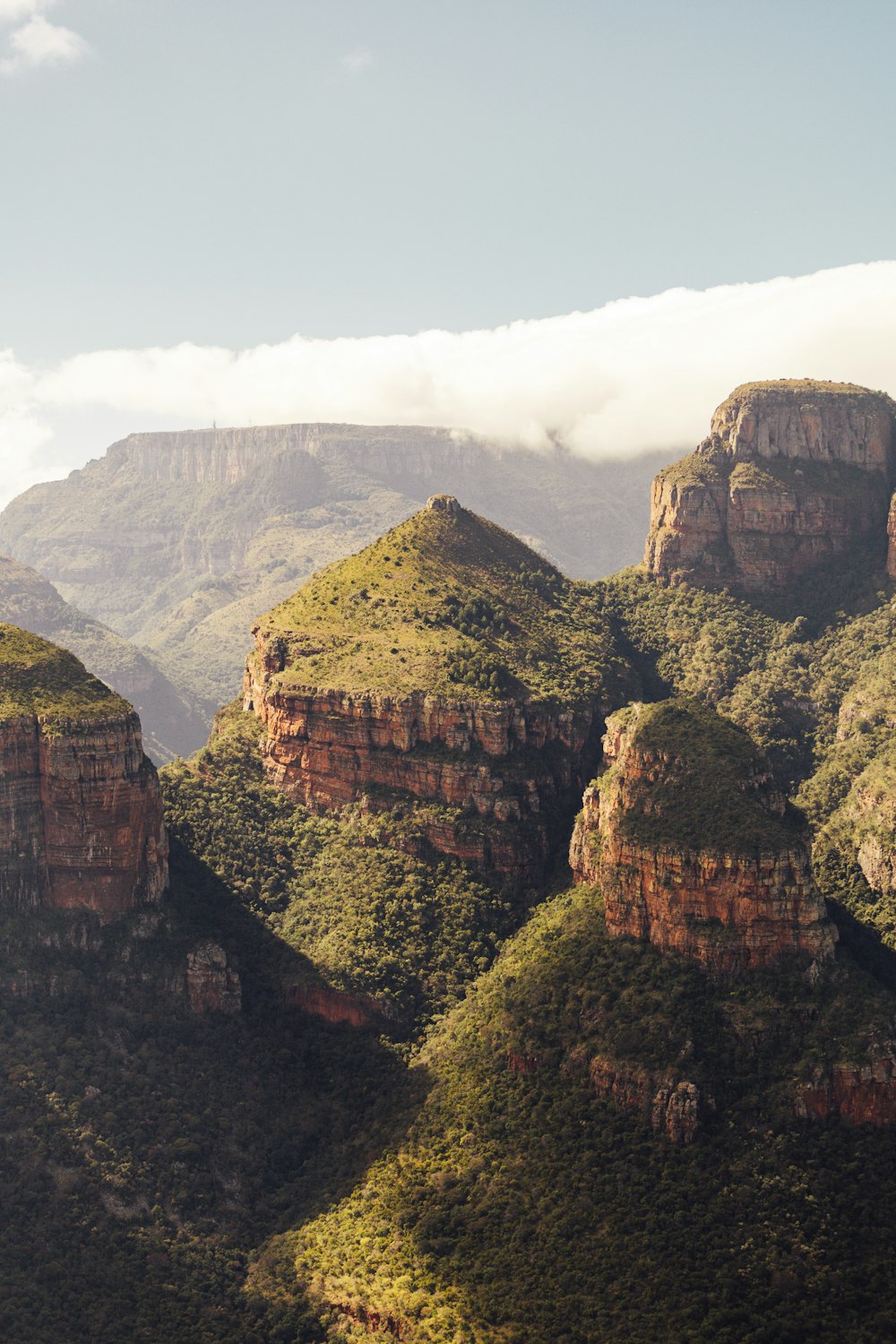 a large rock cliff with trees on it