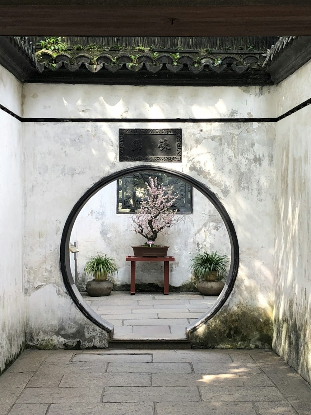 una puerta con una mesa y plantas