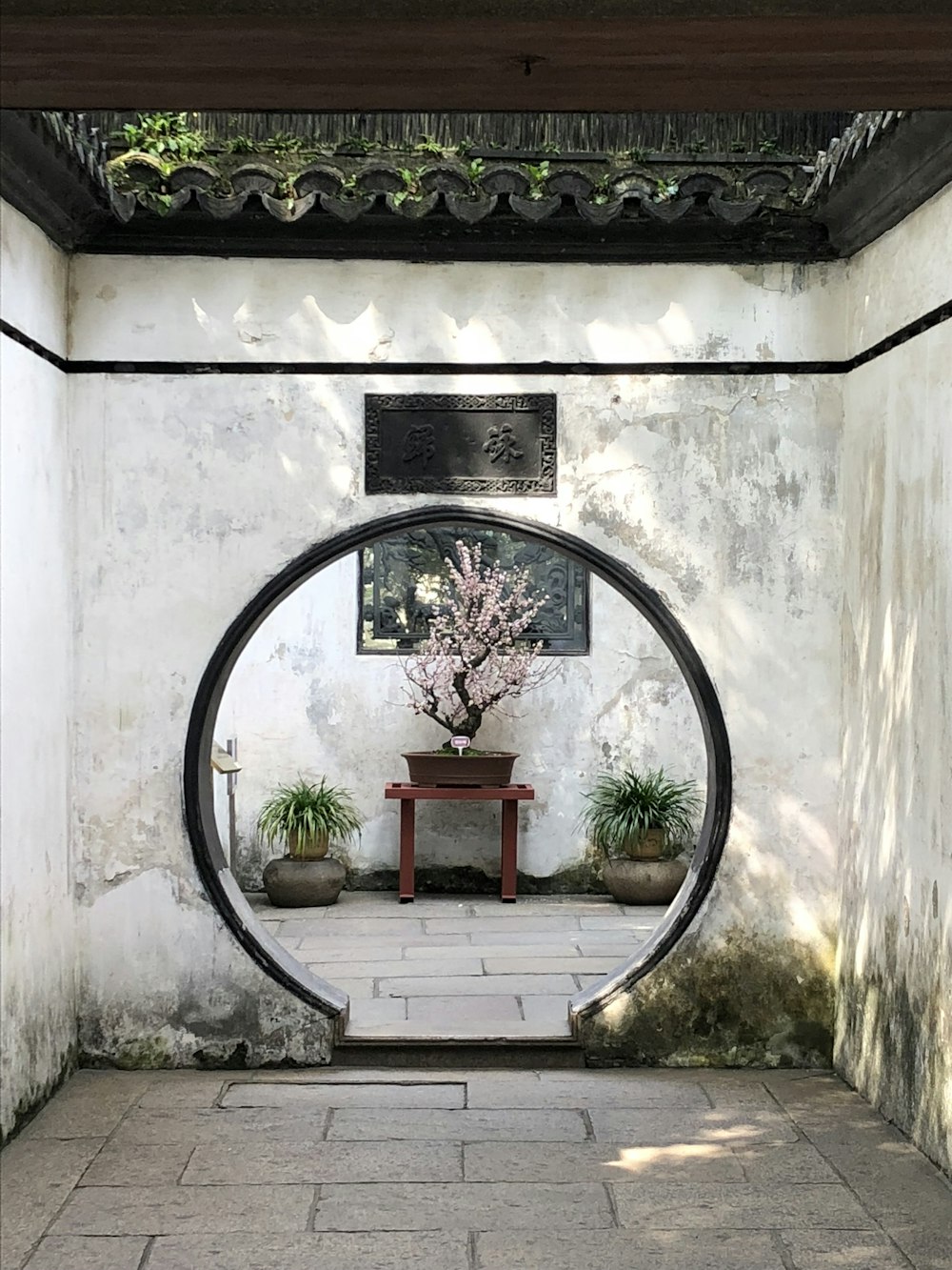 a doorway with a table and plants