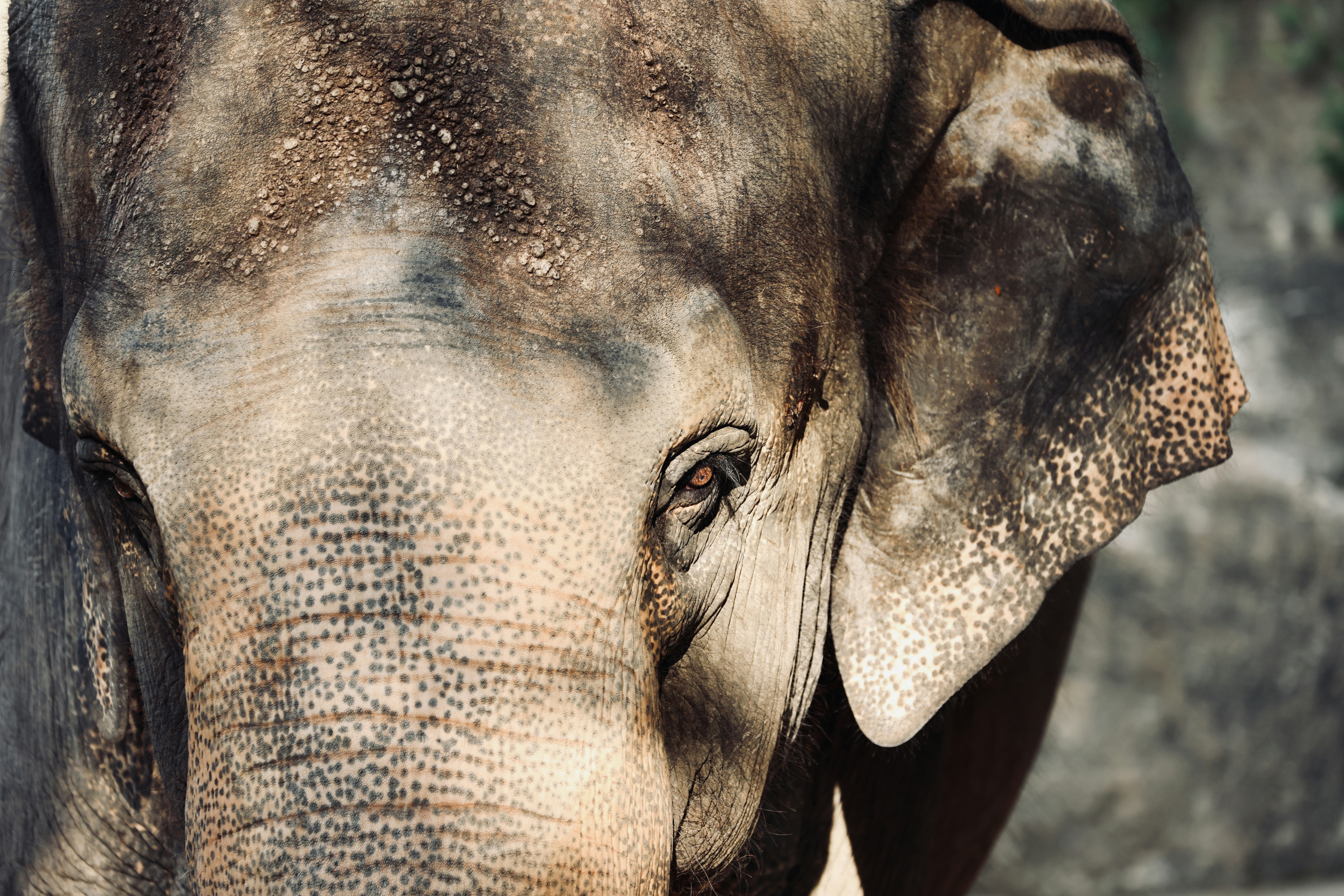 Photo by dickenslin76