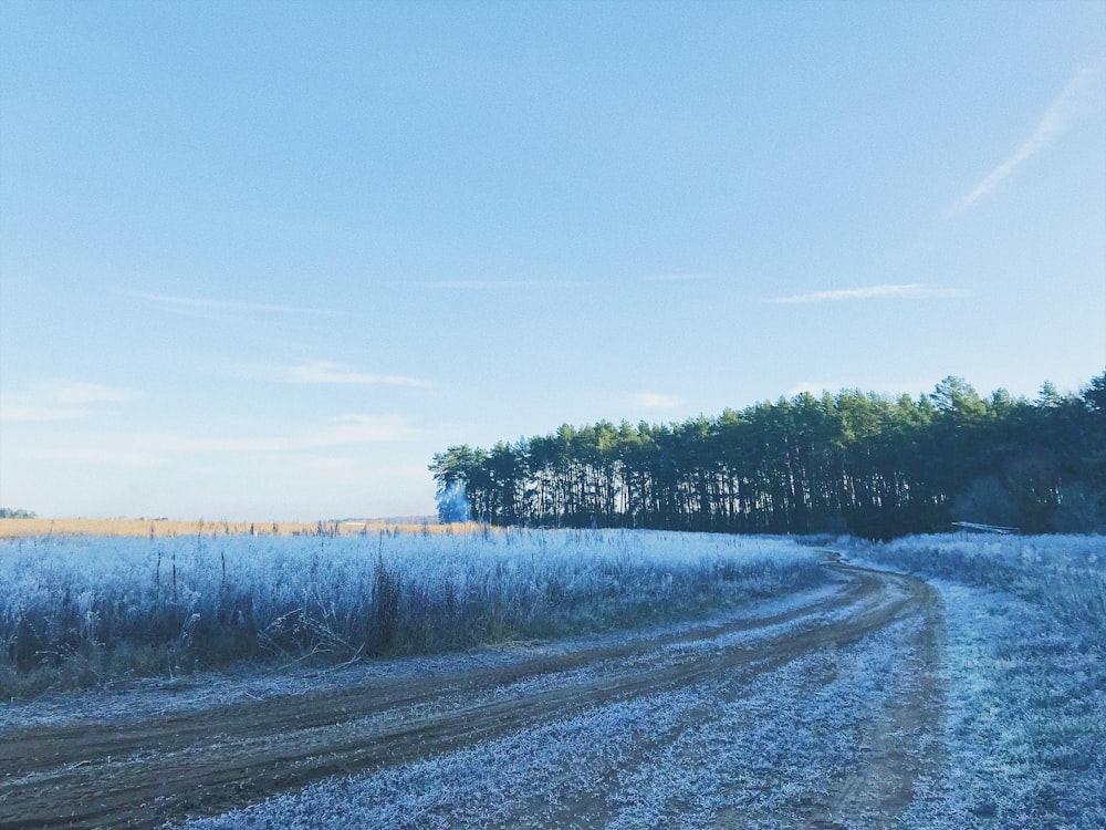 a field of snow with trees in the background