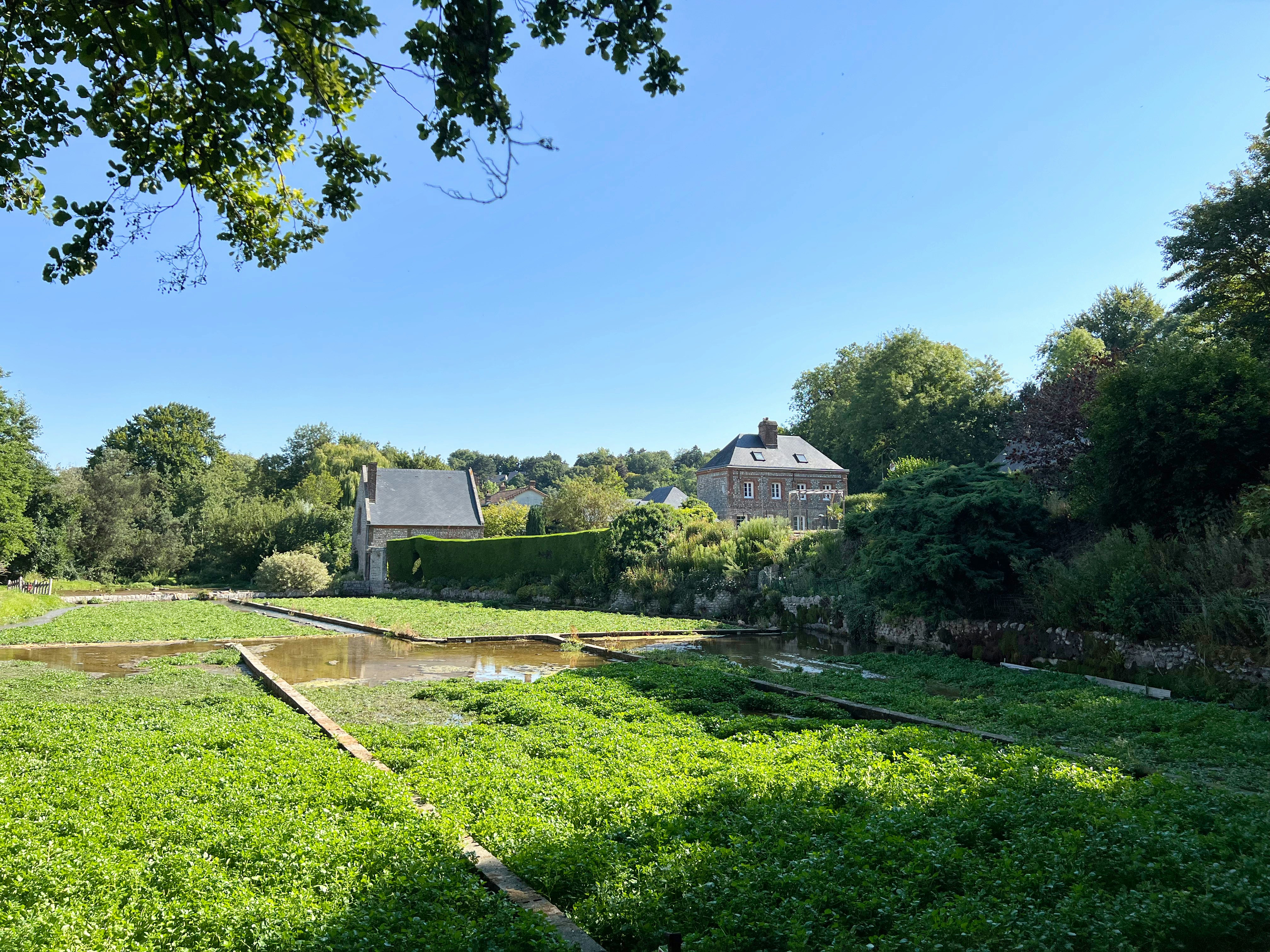 Photo by datingjungle