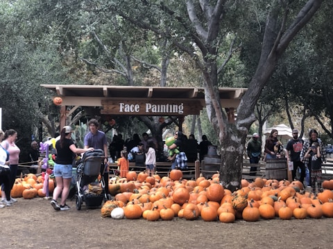 Families enjoying a sunny autumn day at the town square surrounded by colorful pumpkins and handmade stalls.