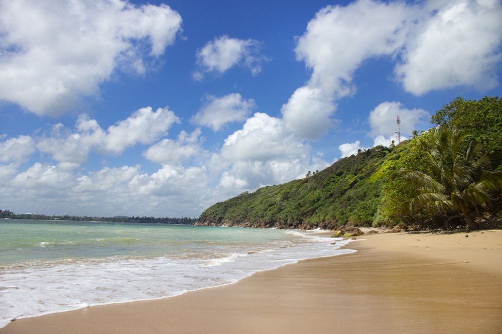 a beach with a hill in the background