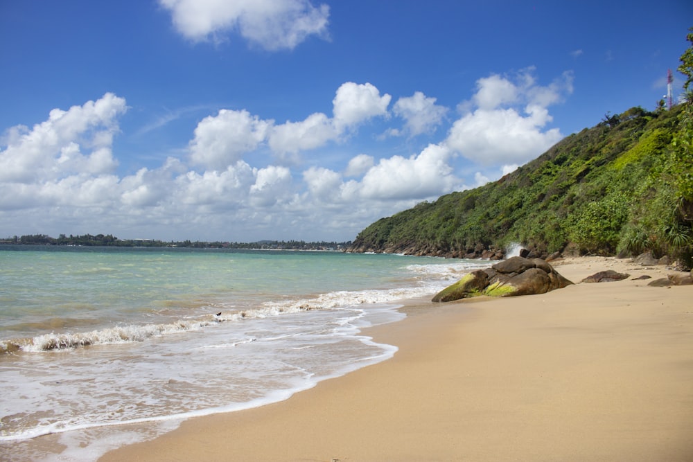 a beach with a hill and trees