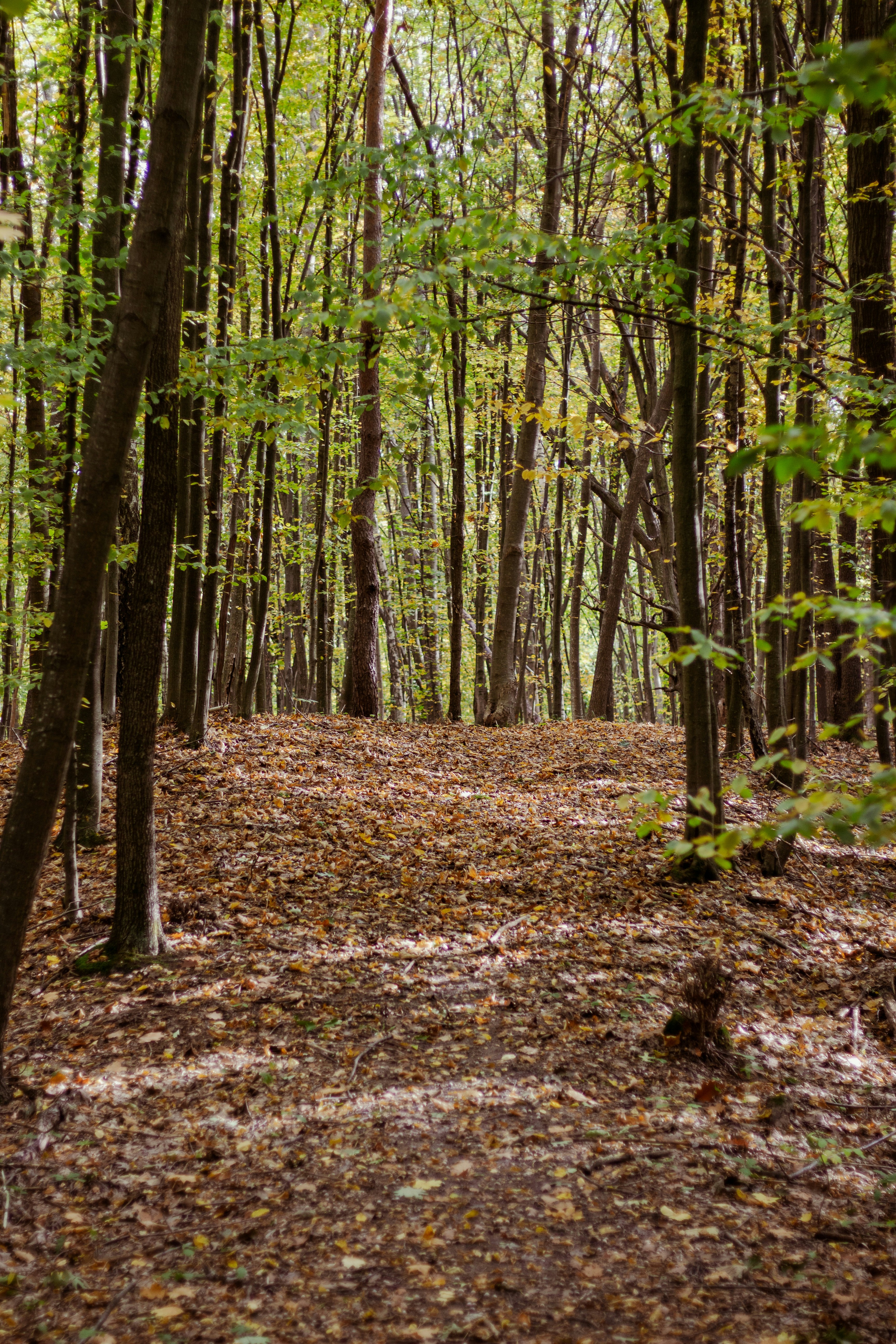 Photo by viktorsmoliak