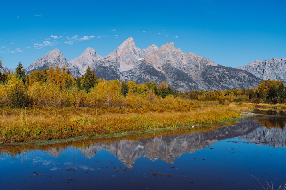 a lake with trees and mountains in the background