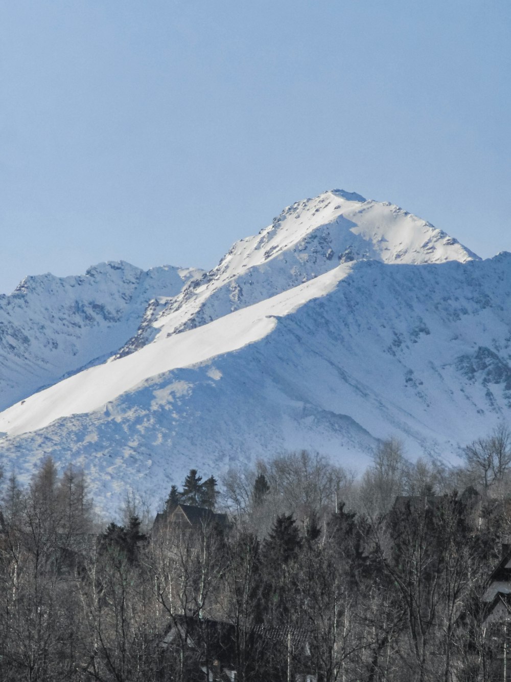 a snowy mountain with trees