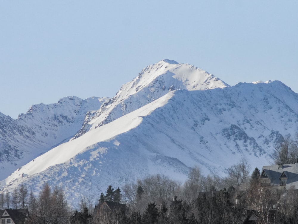 a snowy mountain with trees below