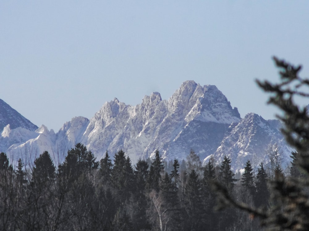 a snowy mountain range