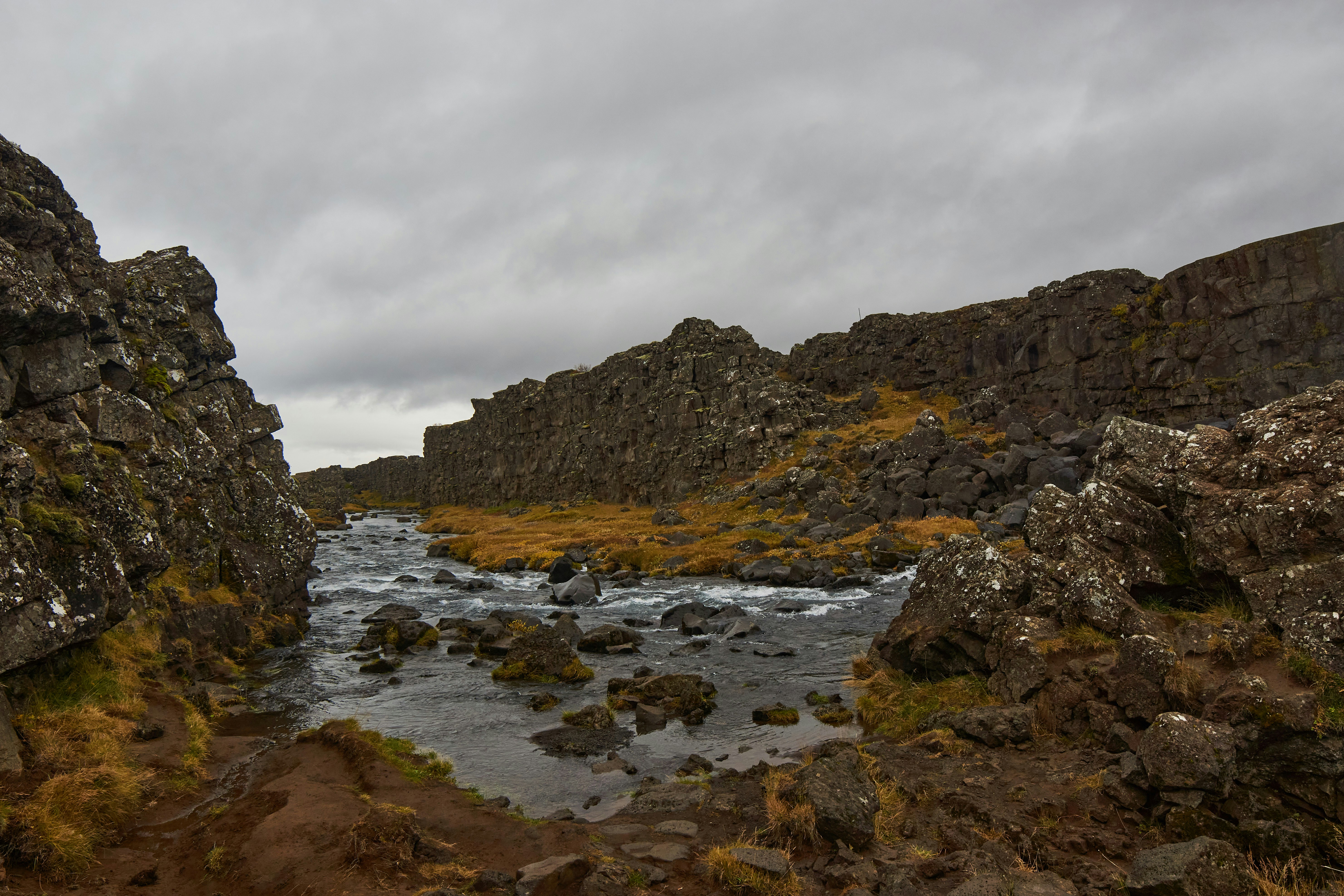 Photo by wolfgang_hasselmann