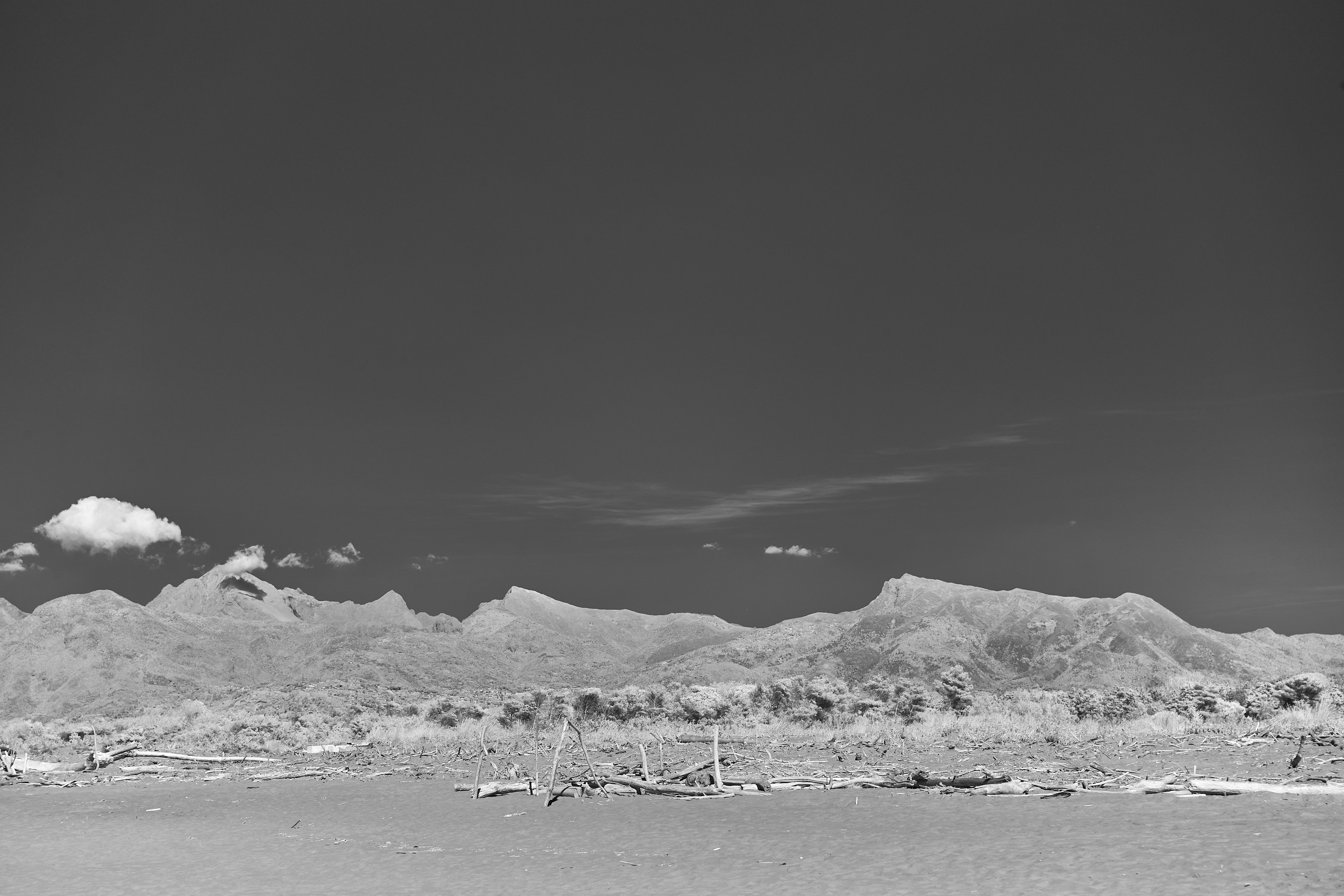 Photo by wolfgang_hasselmann