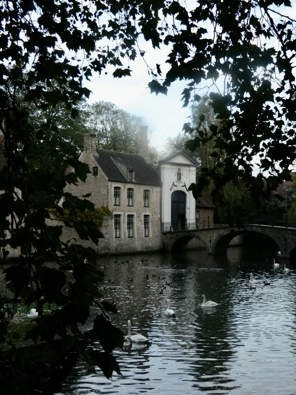 a bridge over a river