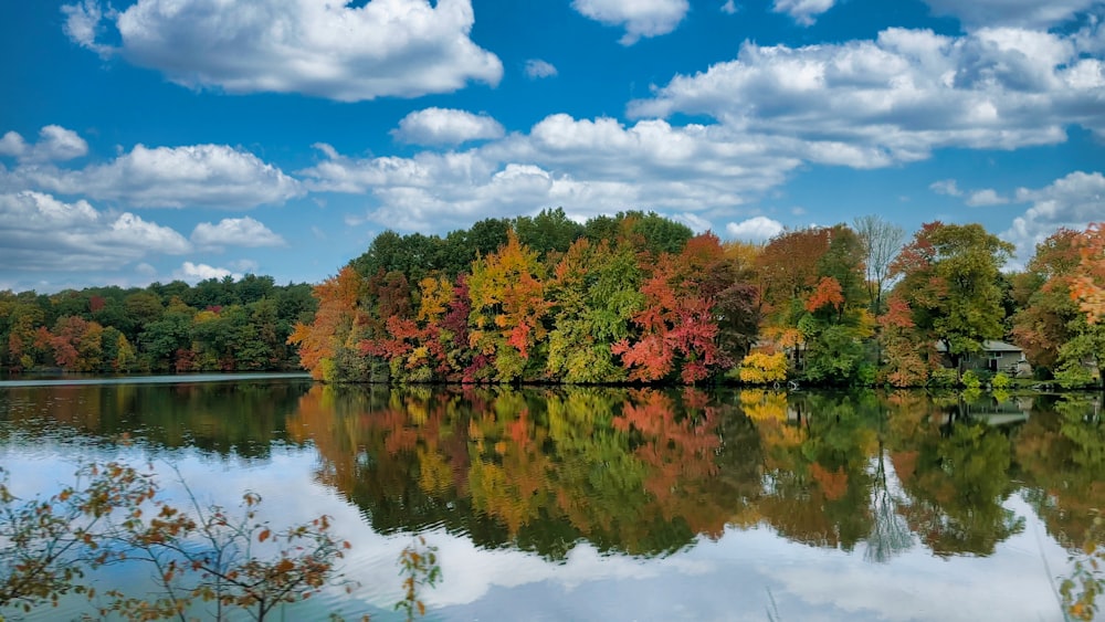 a body of water with trees around it