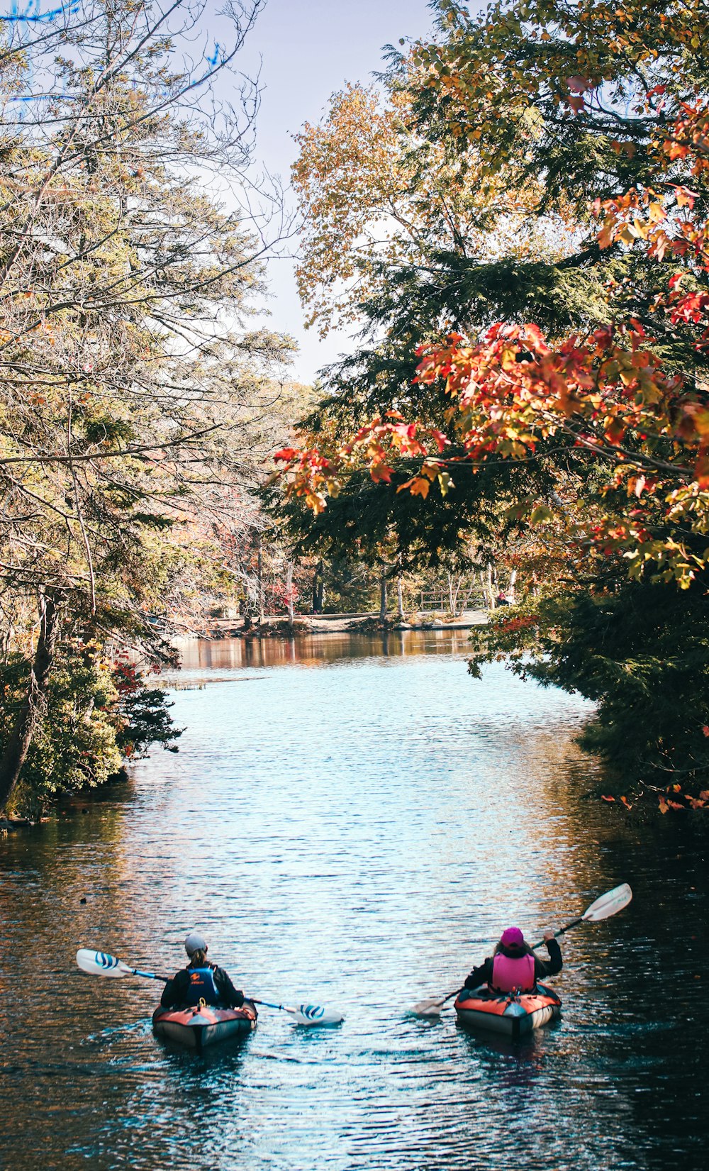 people in canoes on a river