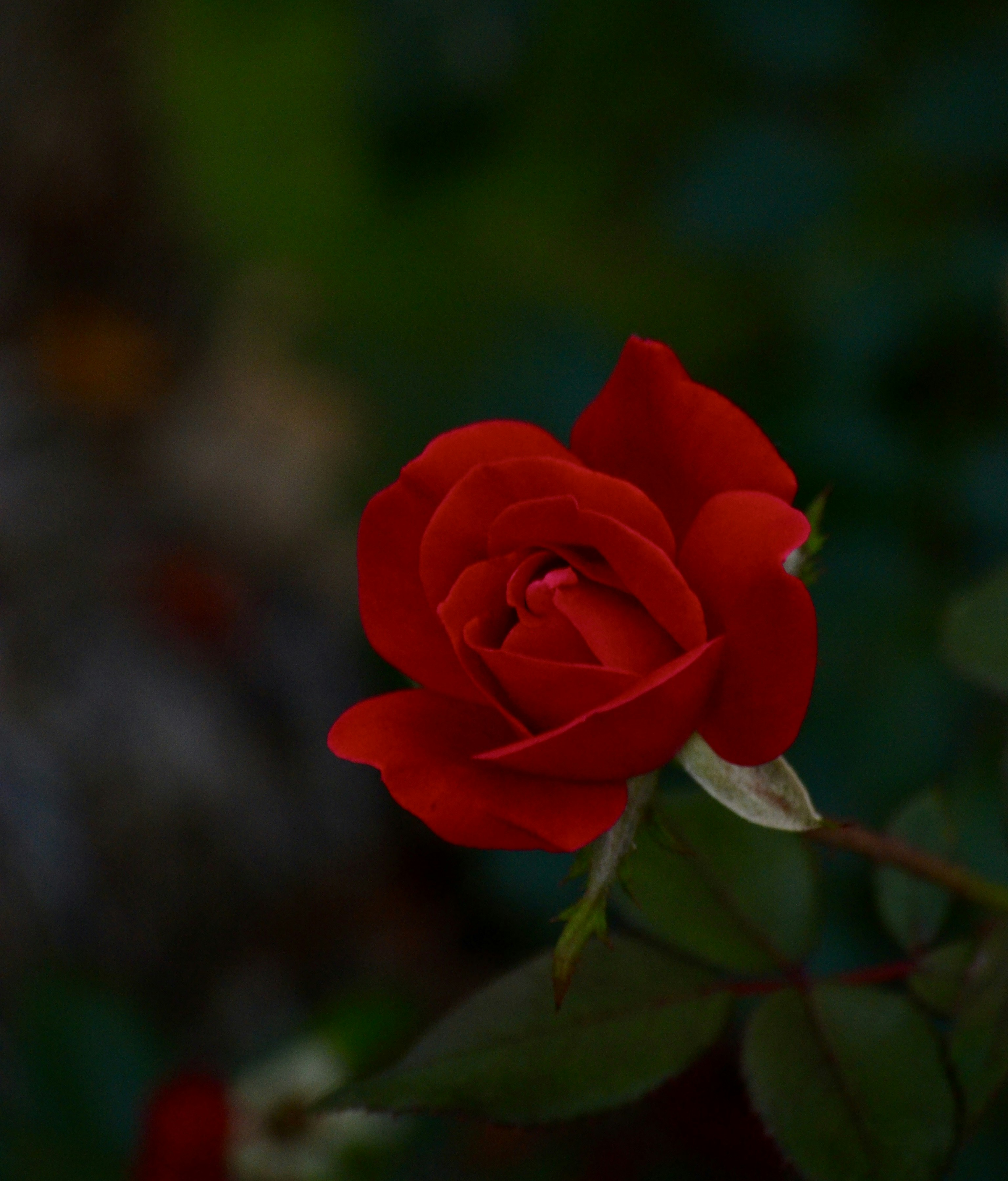 Photo by clearimages