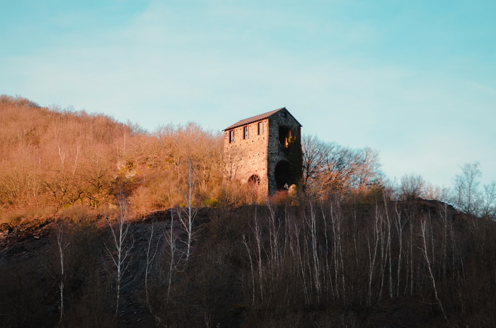 a building in a field