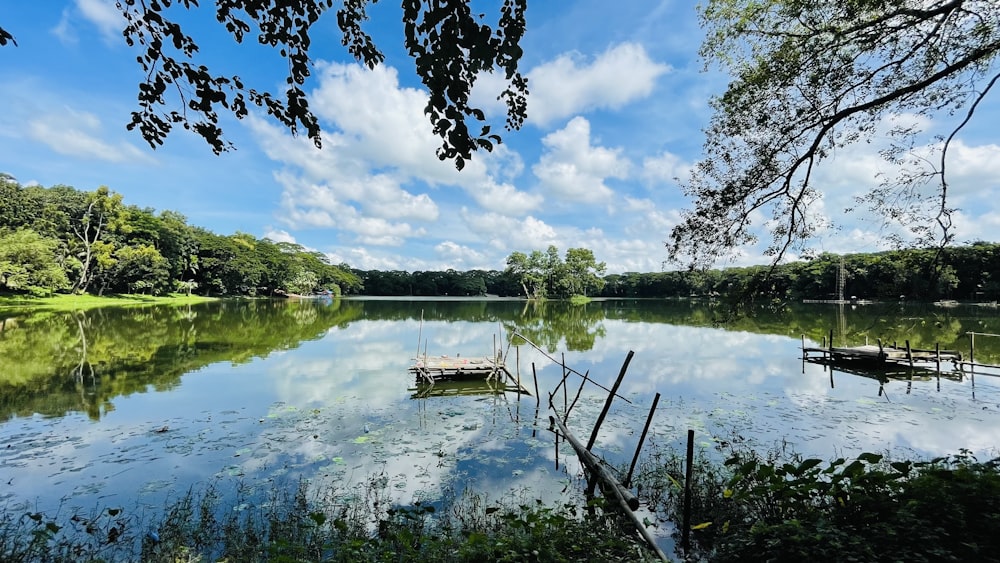 a body of water with boats on it and trees around it