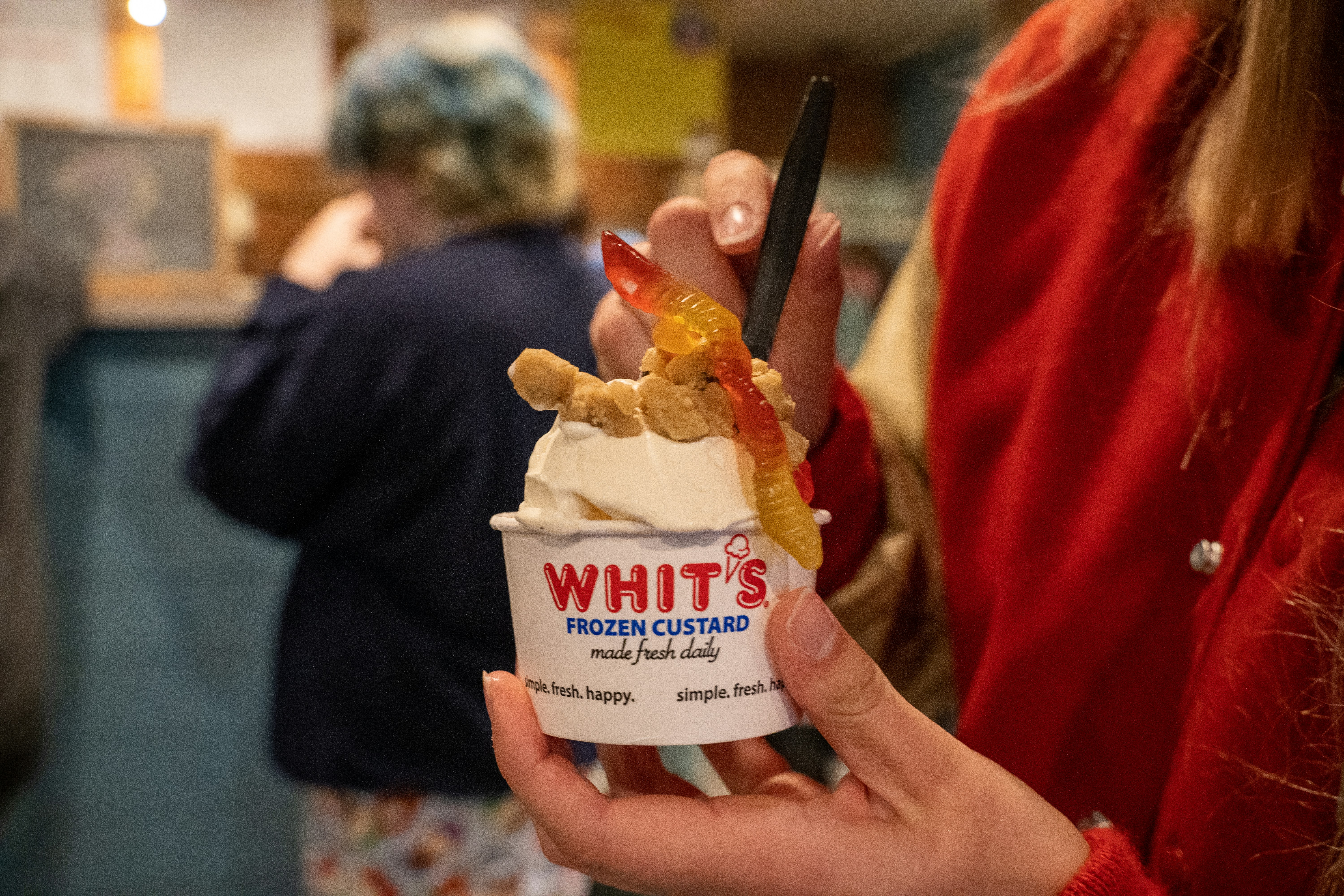 Vanilla Frozen Custard