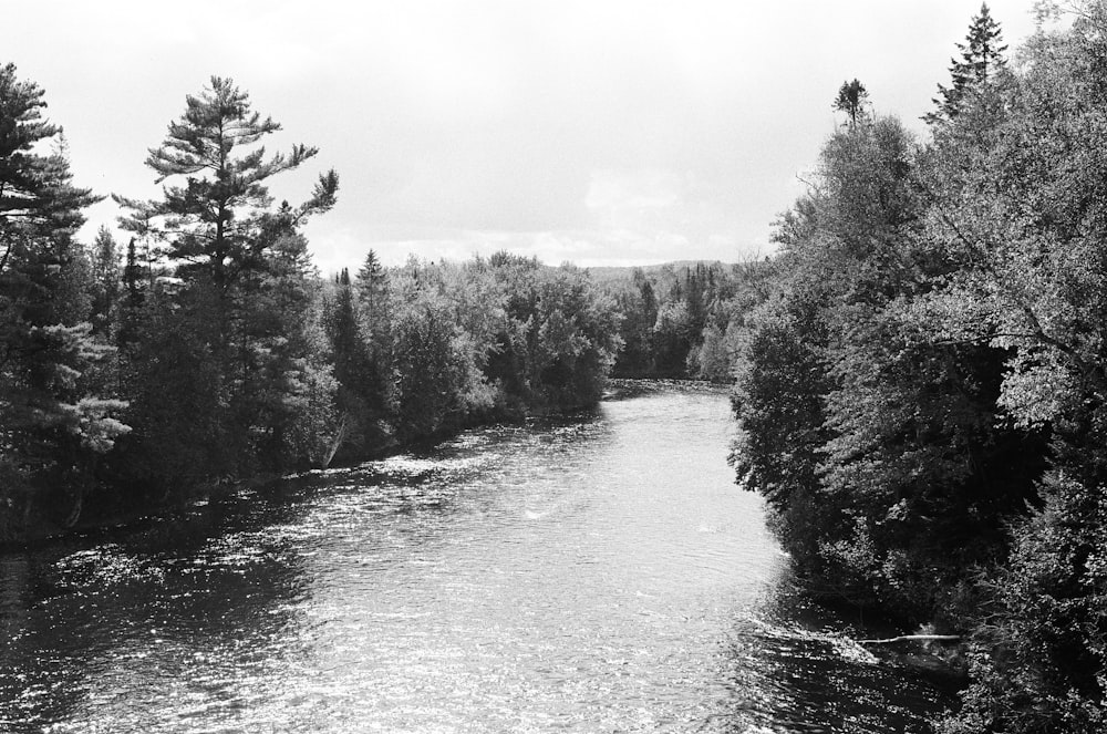 un río con árboles al lado