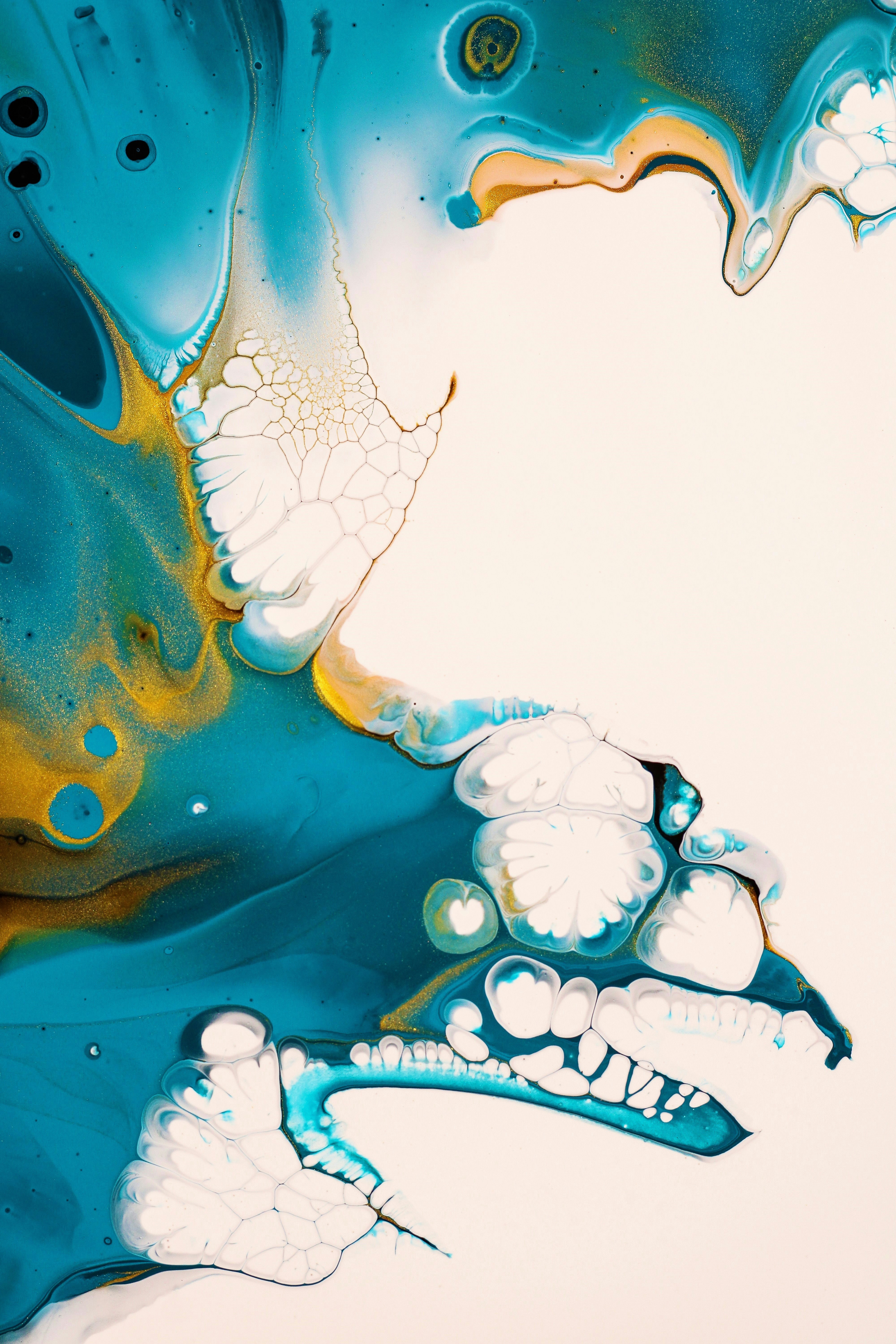 Photo by susan_wilkinson