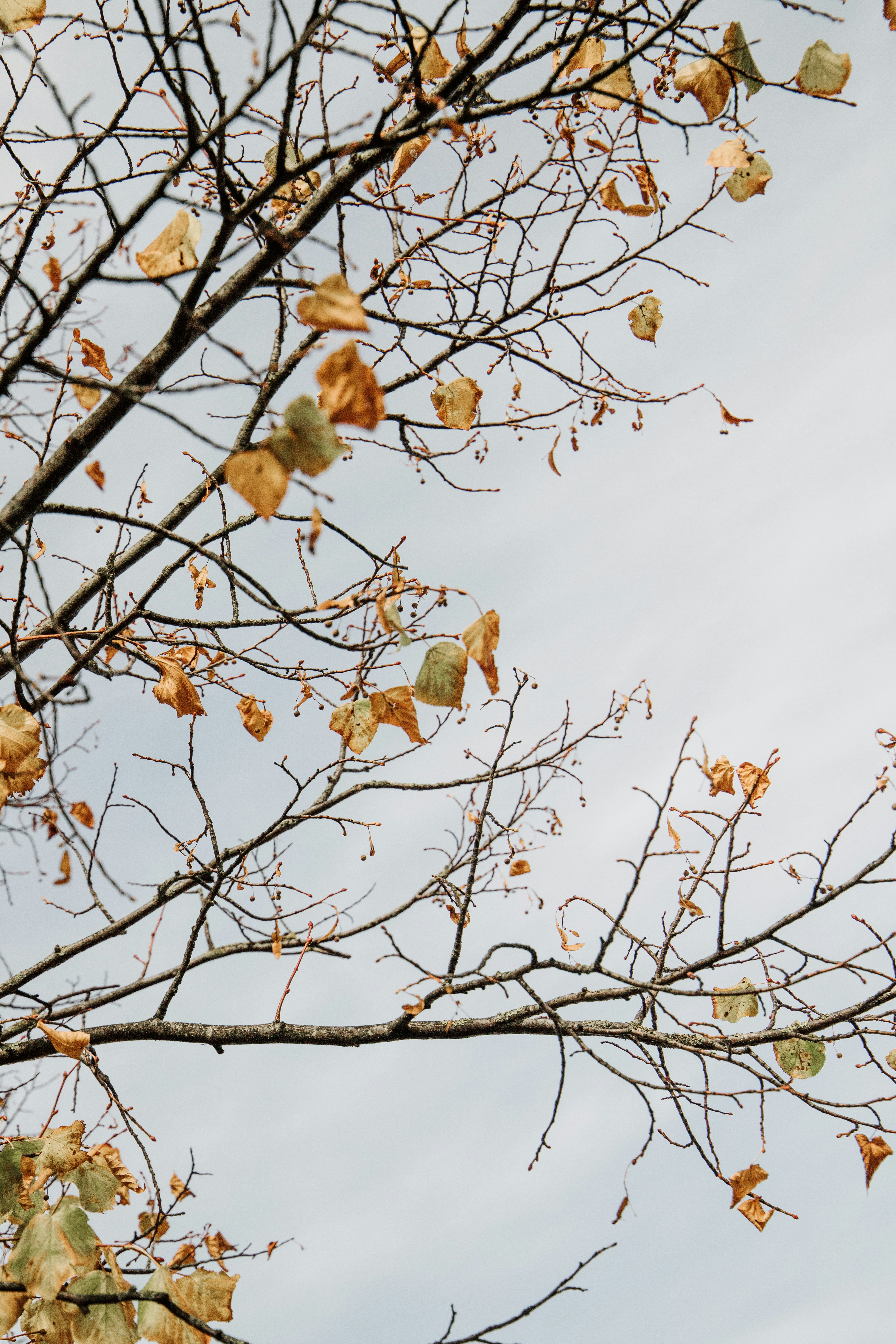 Photo by katharina_bill