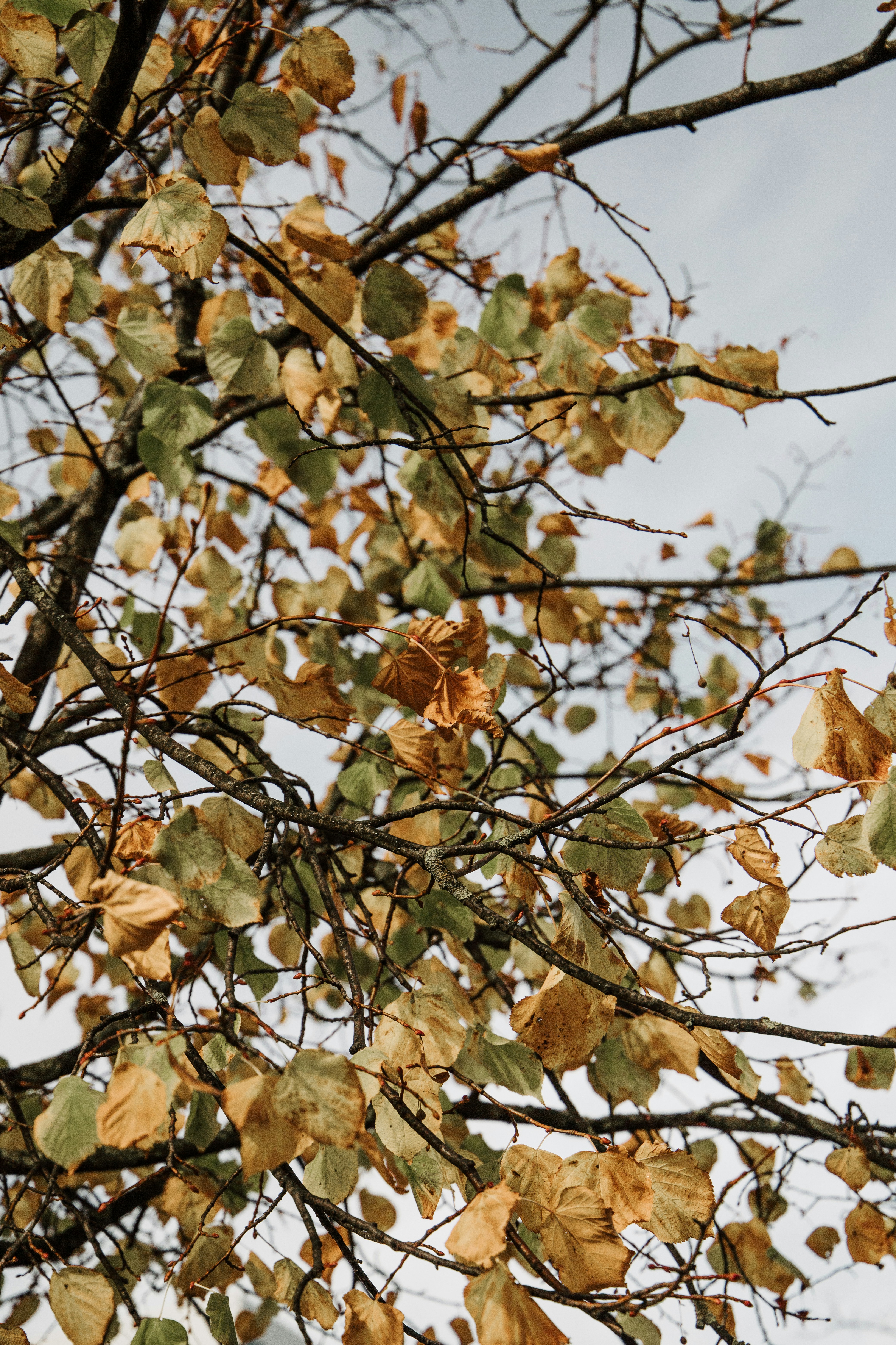 Photo by katharina_bill