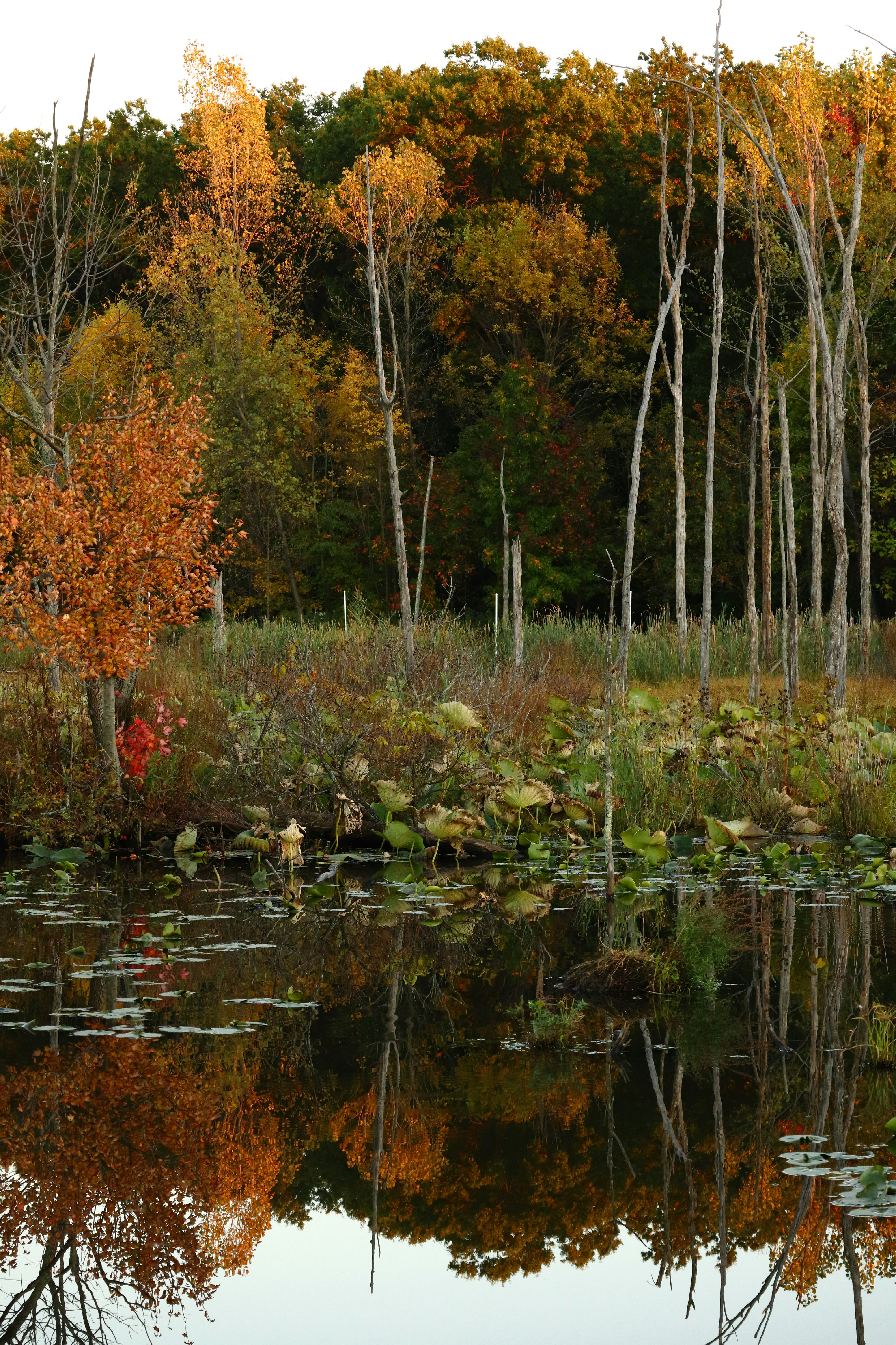 Photo by ucwhphotography