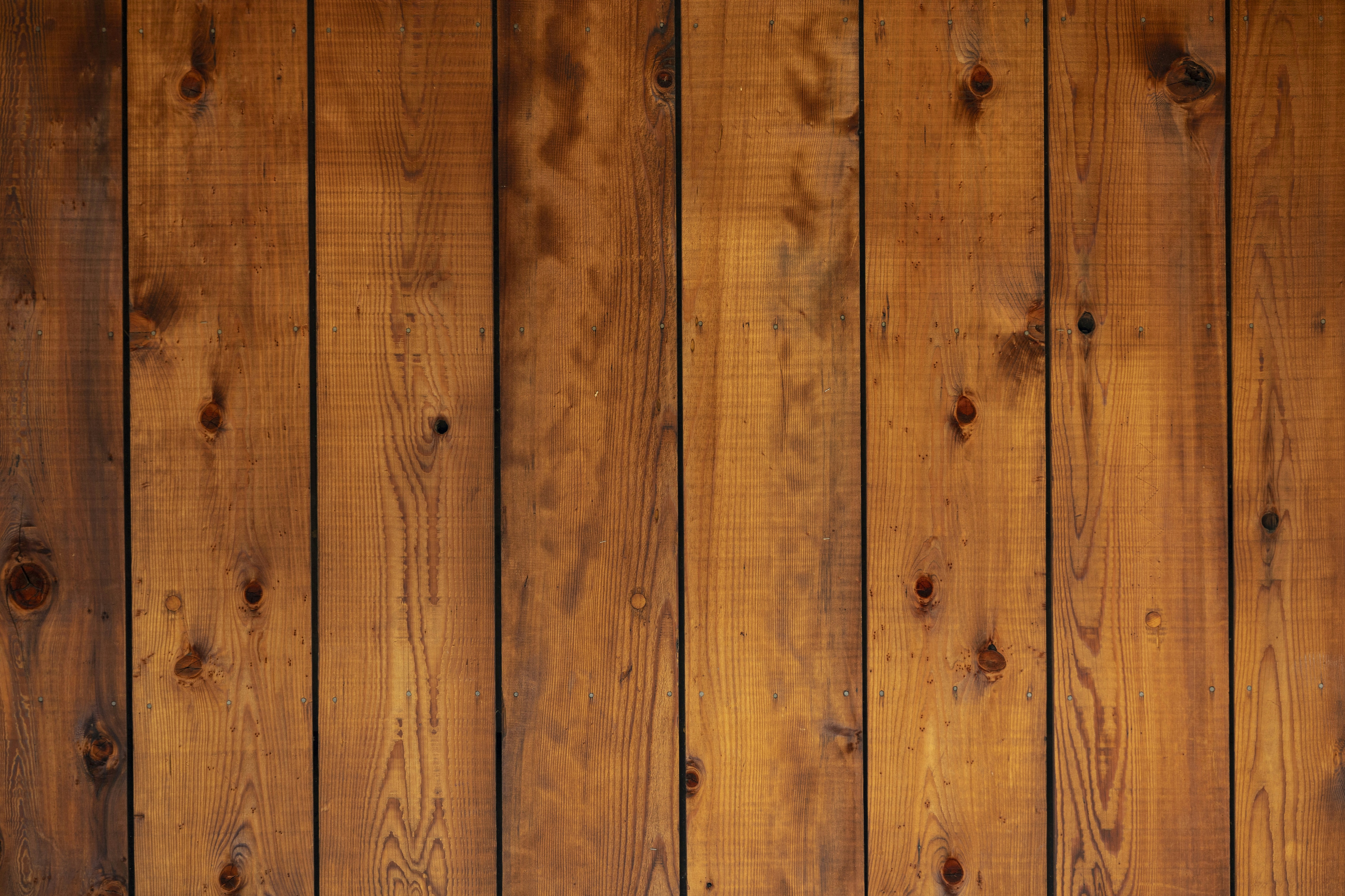 Photo by leo_visions_