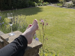 A pair of feet, with toes painted red, rest on a stone ledge in a garden setting. Beside the feet, there is a tall glass of sparkling wine. The scene includes a well-maintained lawn and some flowering plants, with bright sunlight casting shadows.