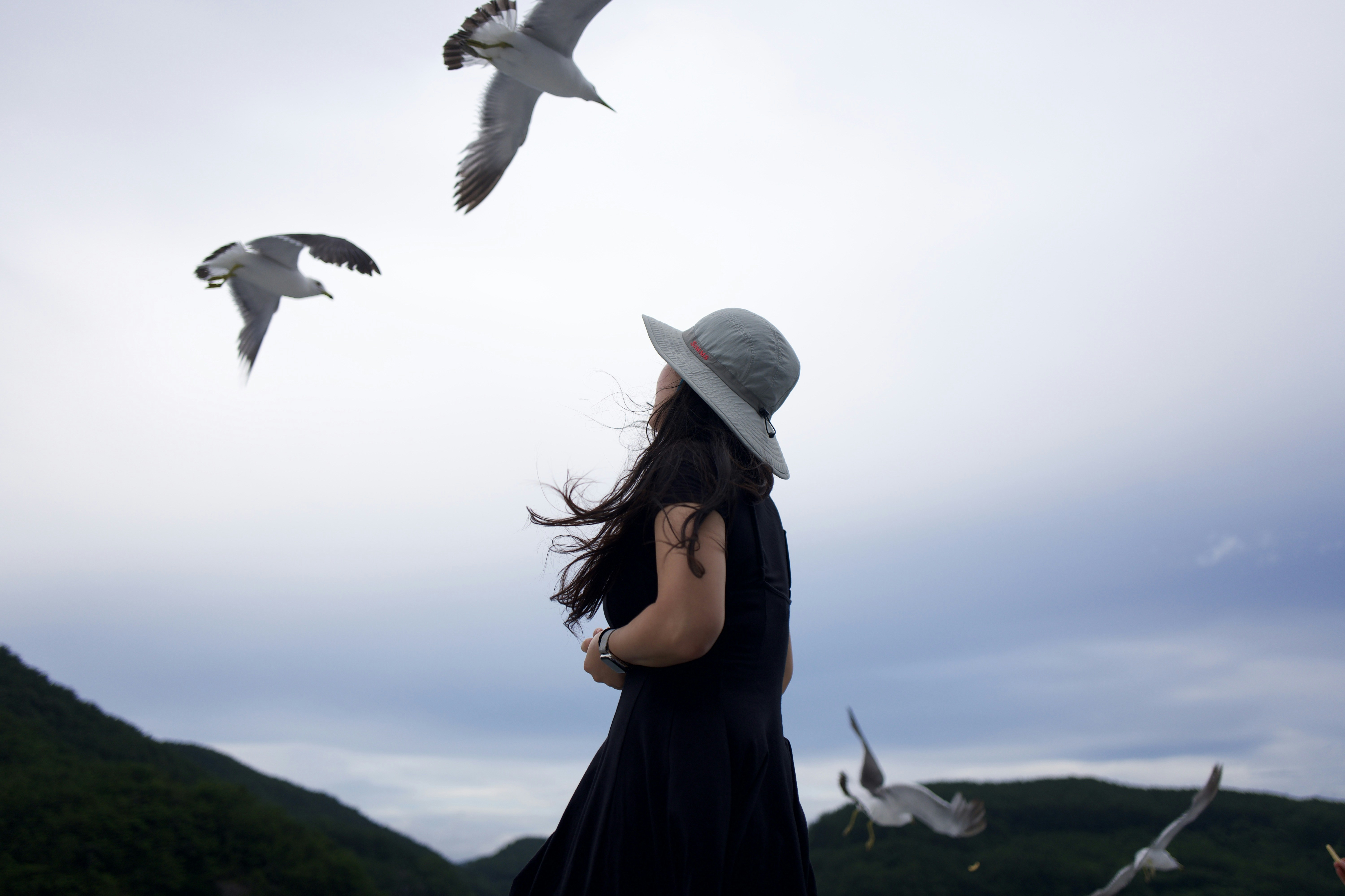 a person looking at birds flying in the sky
