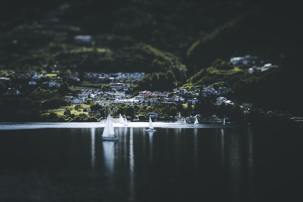 a body of water with boats on it and trees around it