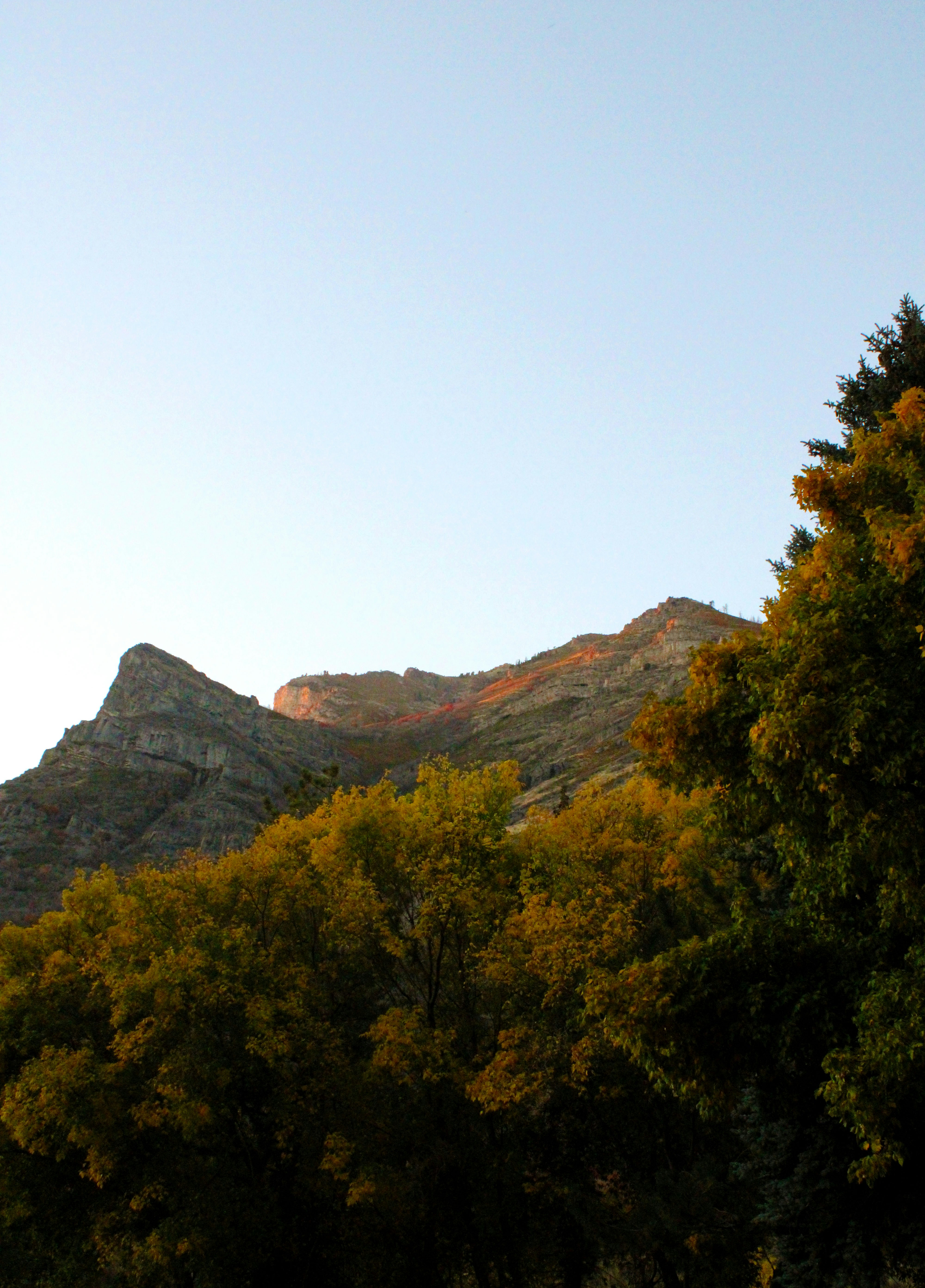 Photo by nico_mikaela17