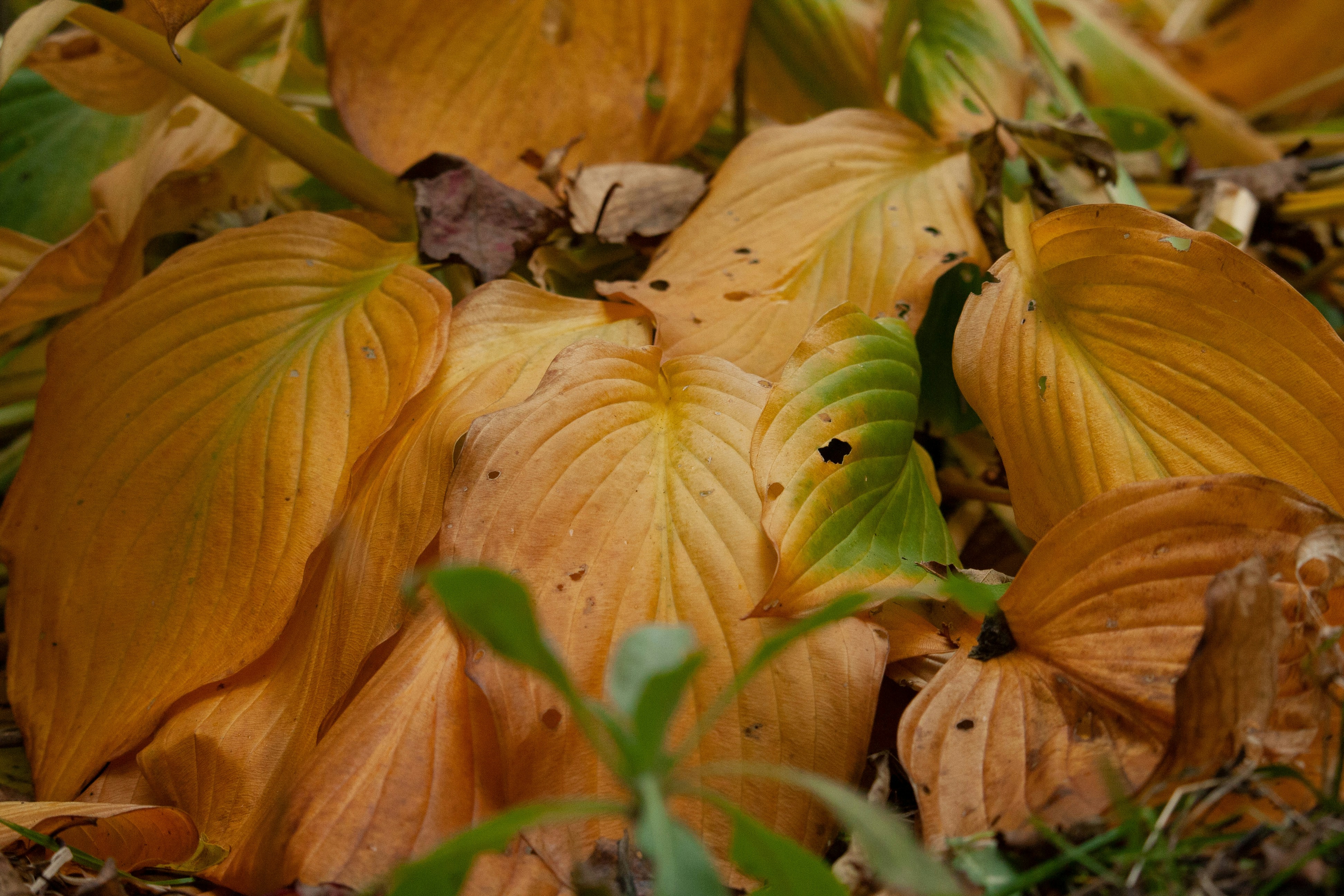 Photo by darwinh_photographer