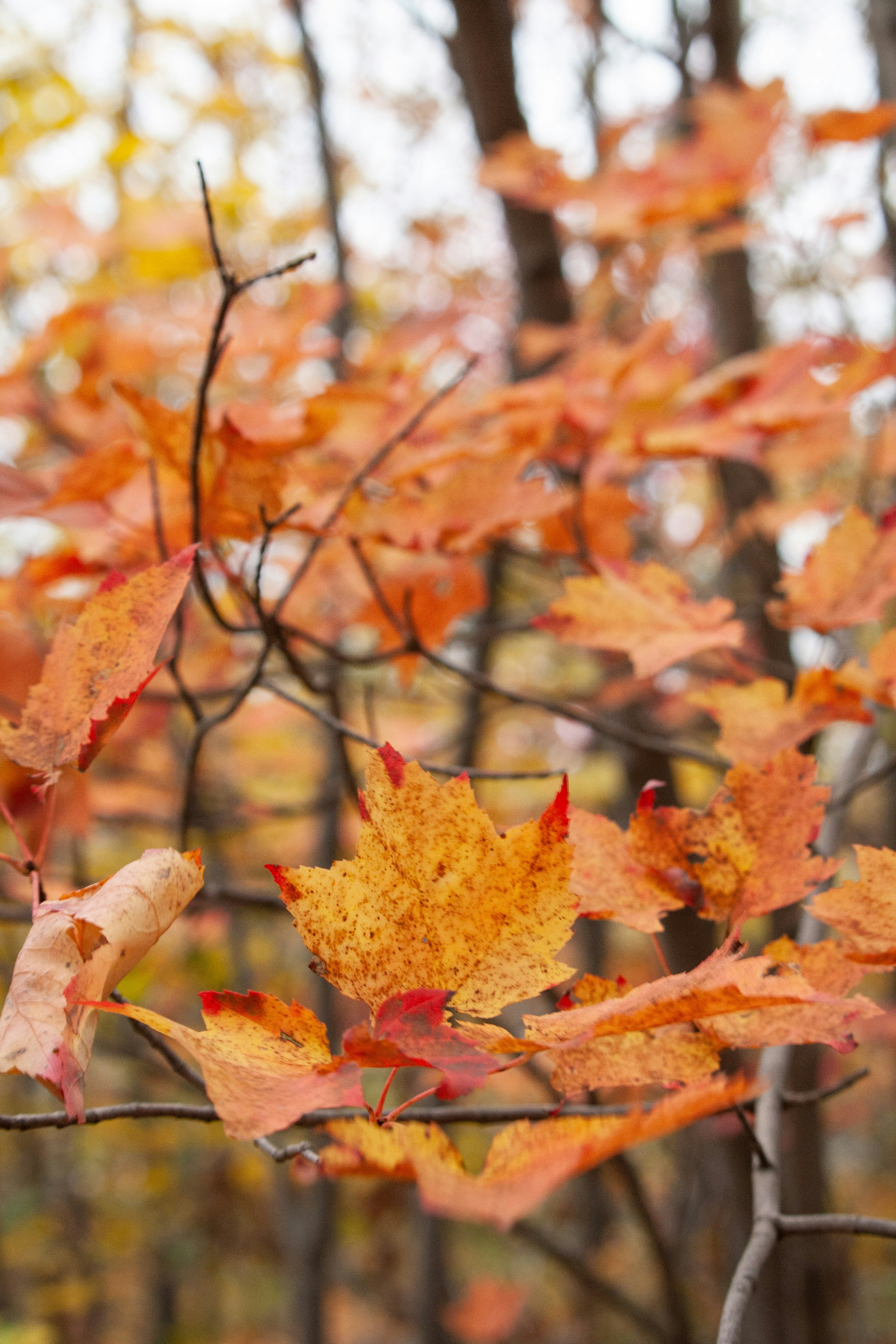 Photo by darwinh_photographer