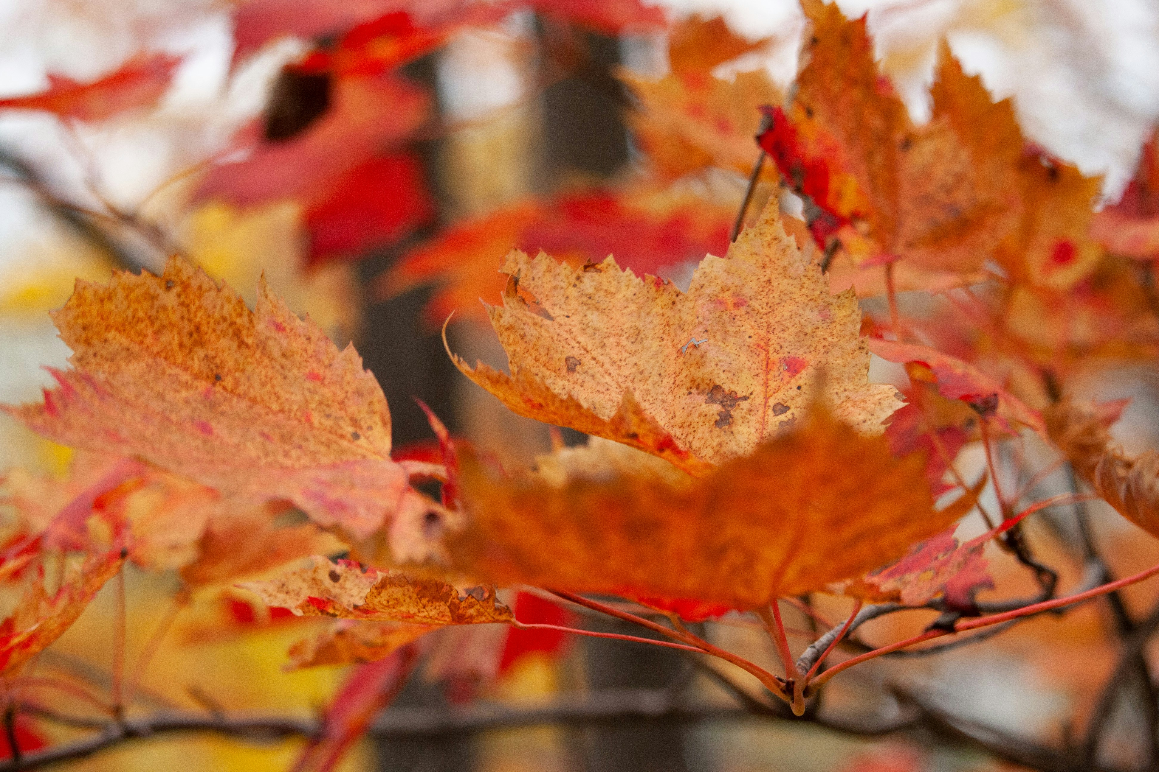 Photo by darwinh_photographer