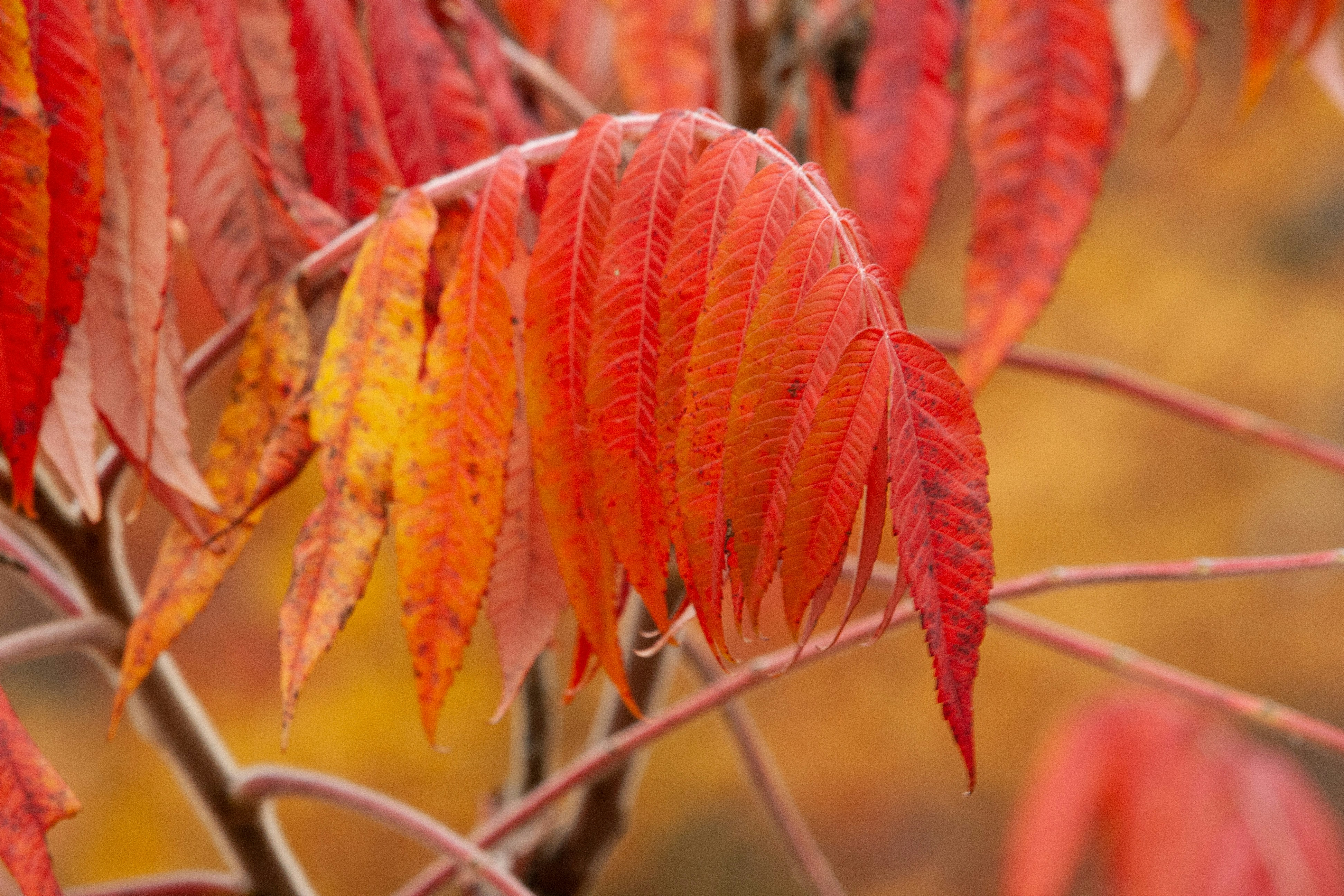 Photo by darwinh_photographer