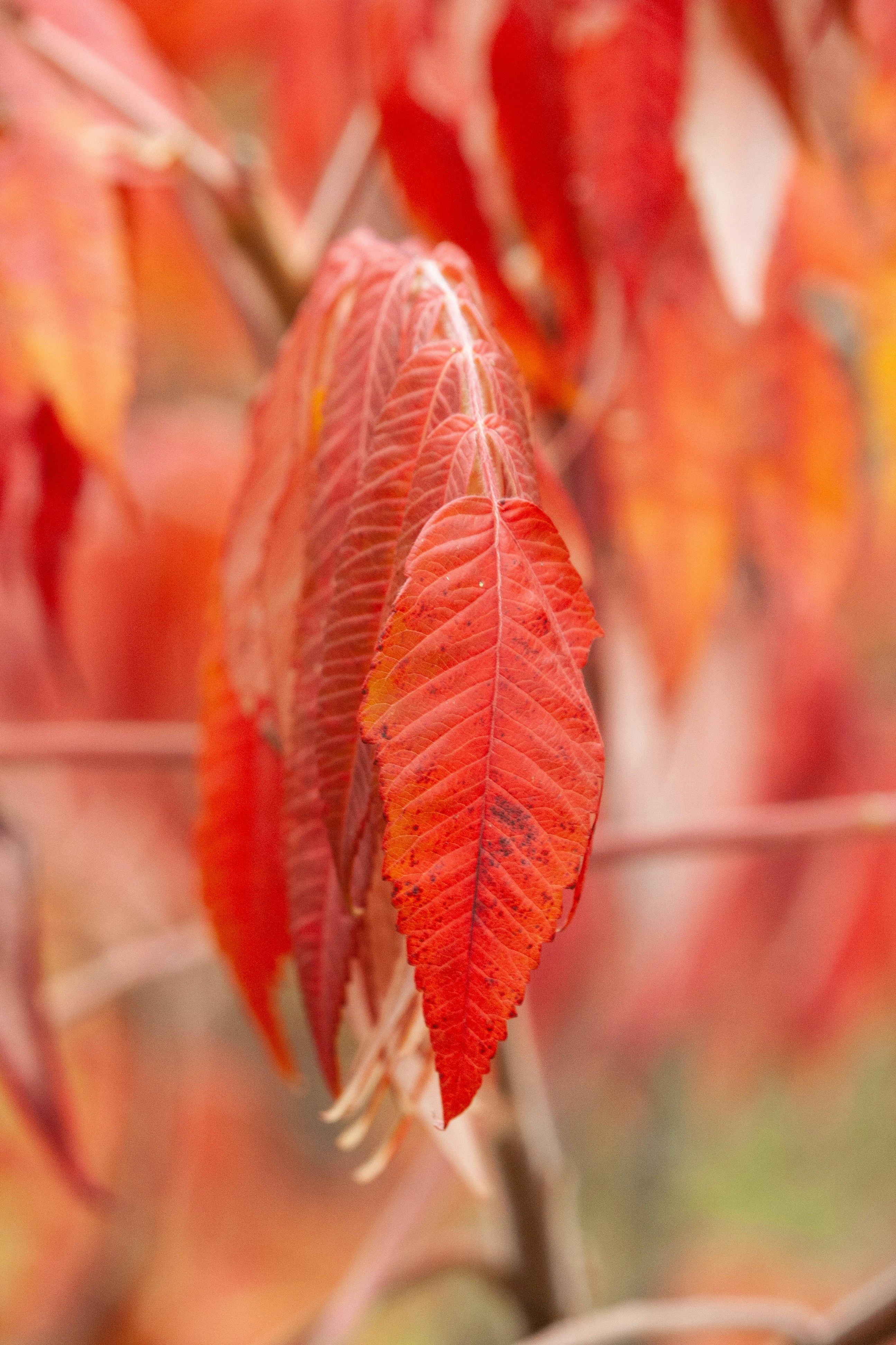 Photo by darwinh_photographer