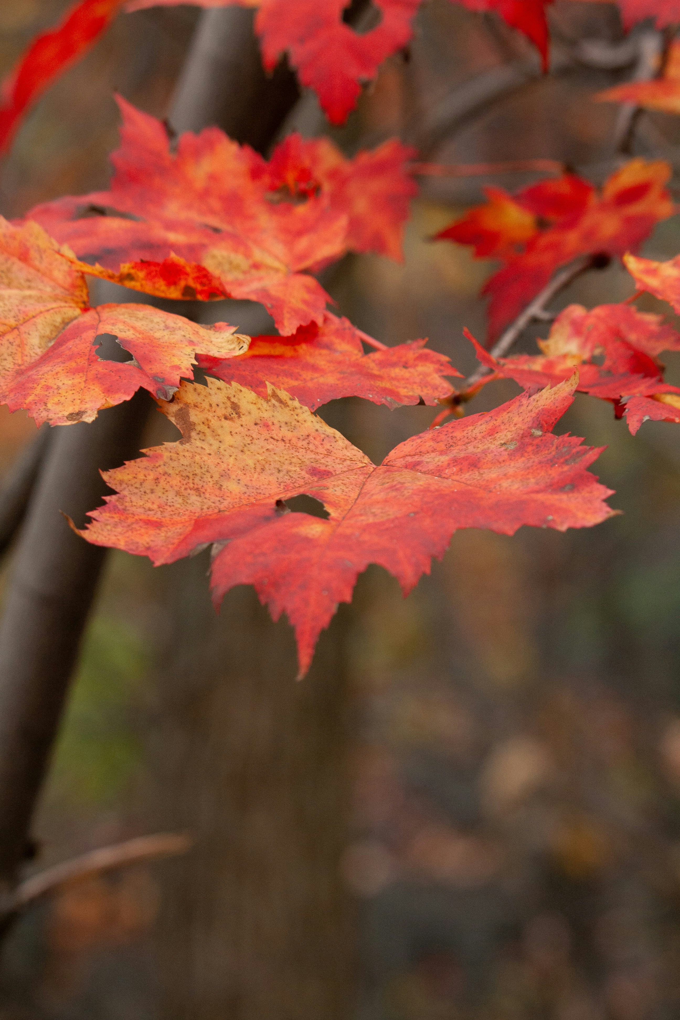 Photo by darwinh_photographer