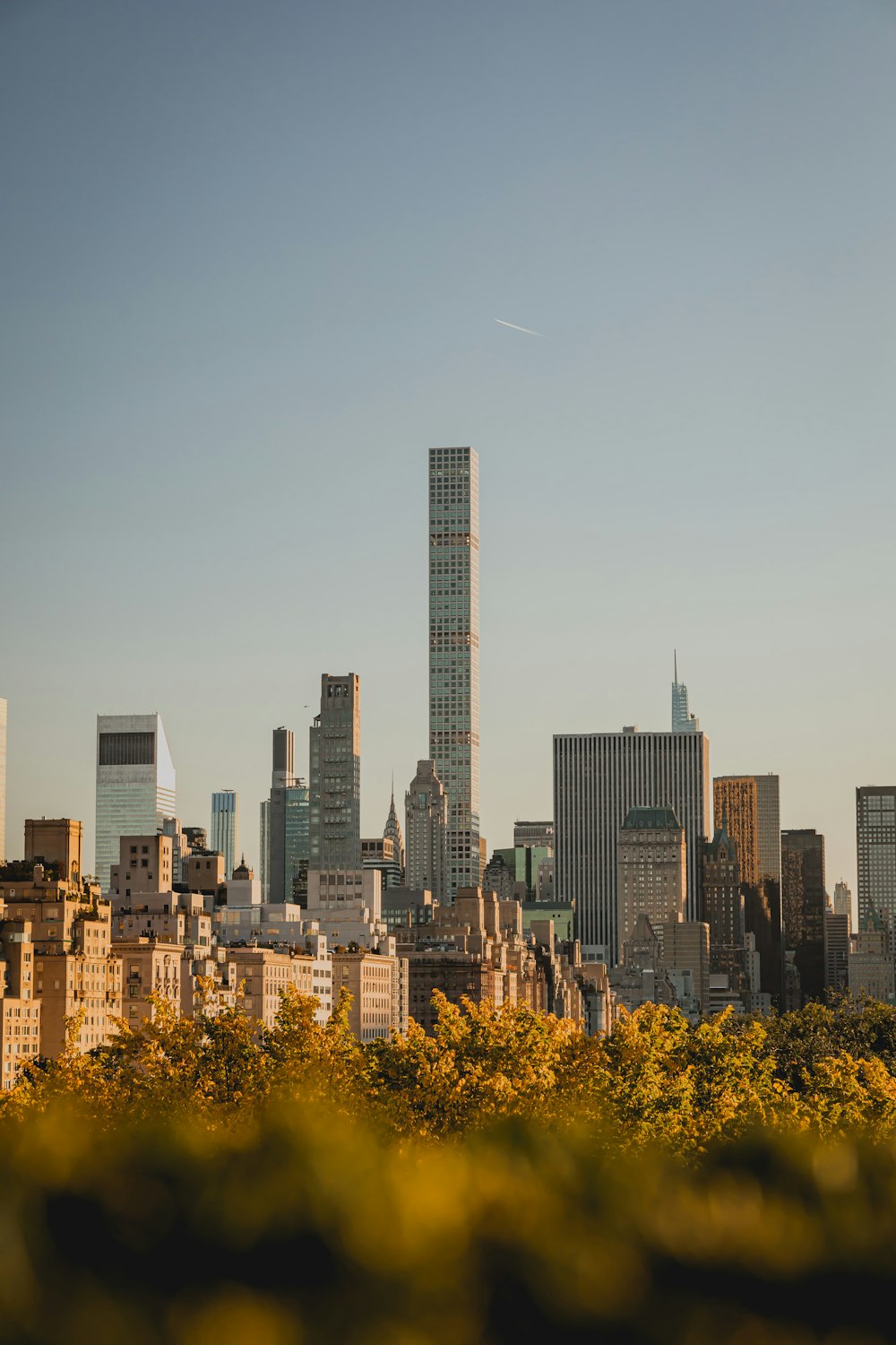 a city skyline with trees