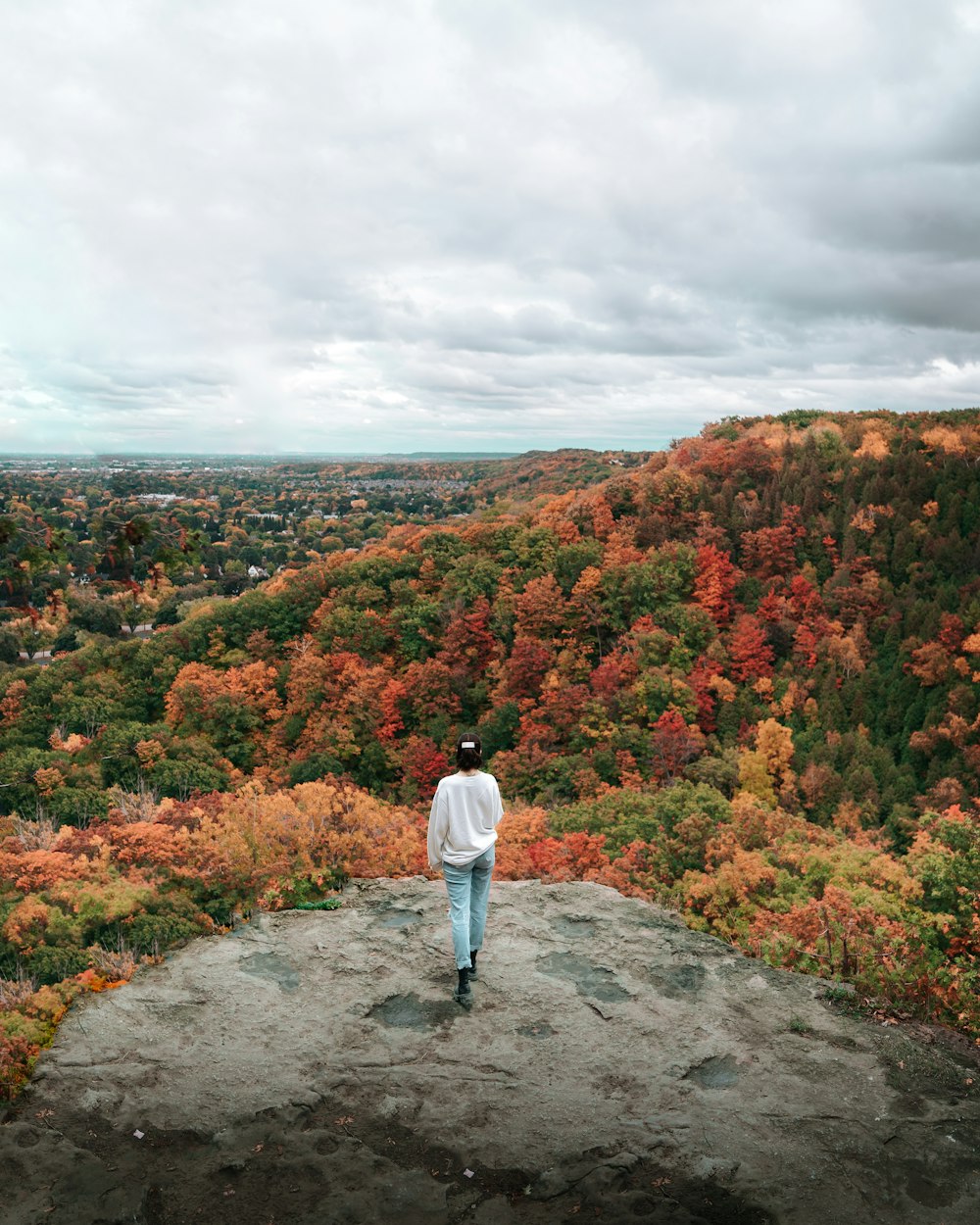 a man standing on a rock overlooking a forest