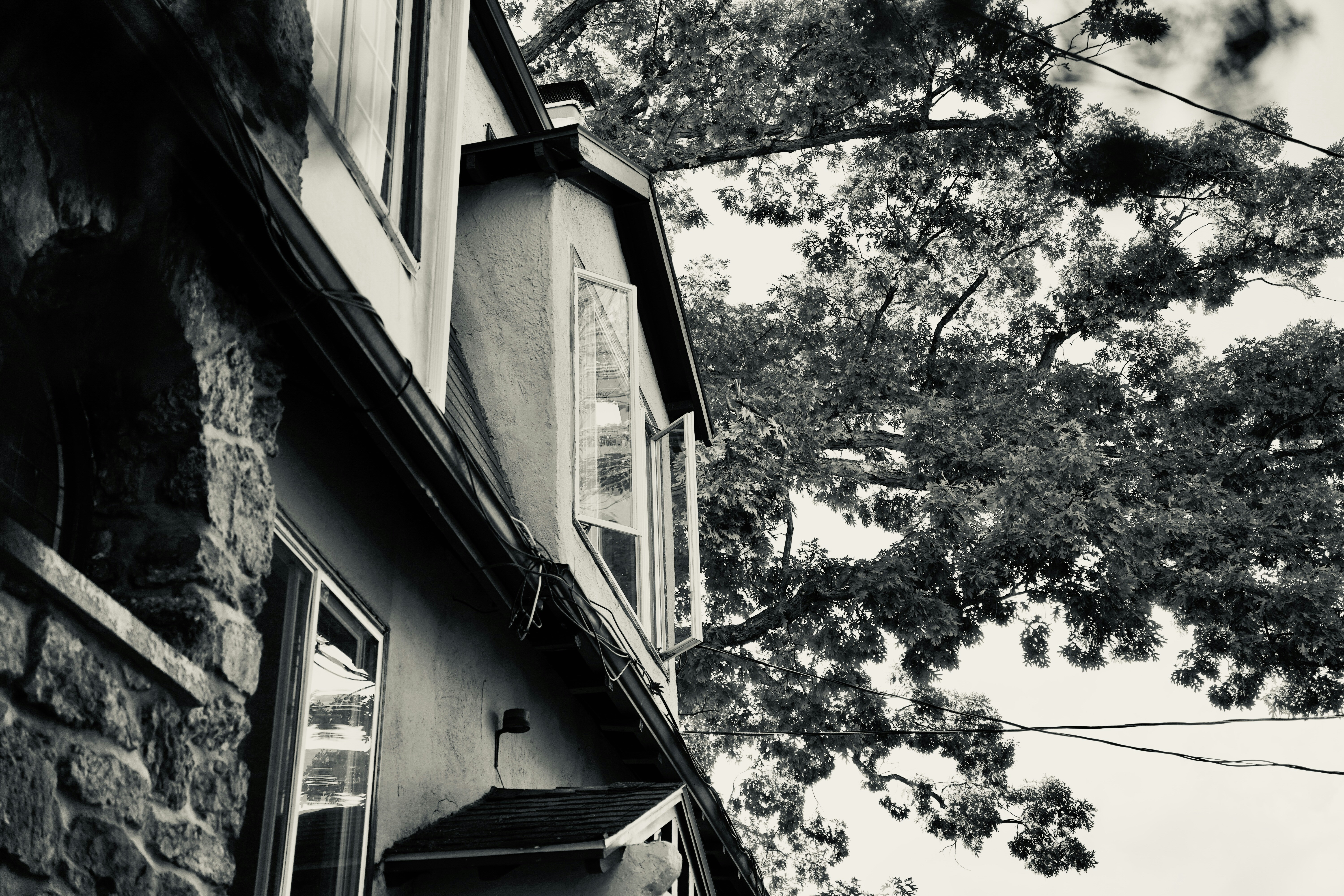 Photo by brettwharton