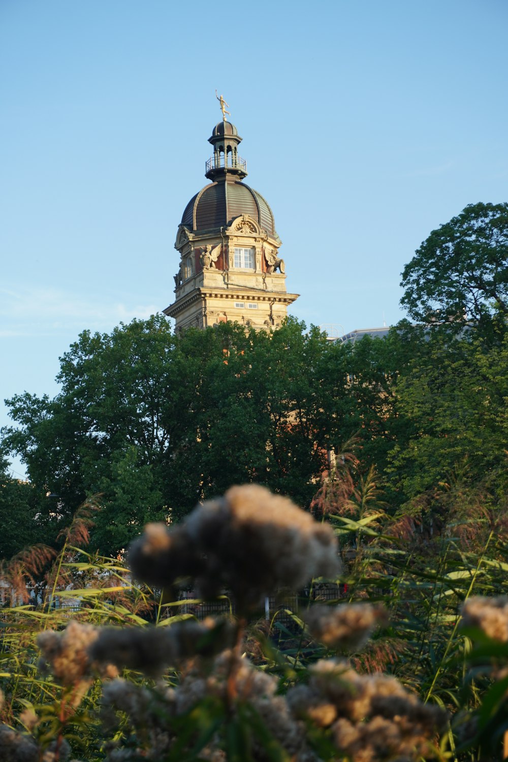 a building with a dome and a tower behind trees