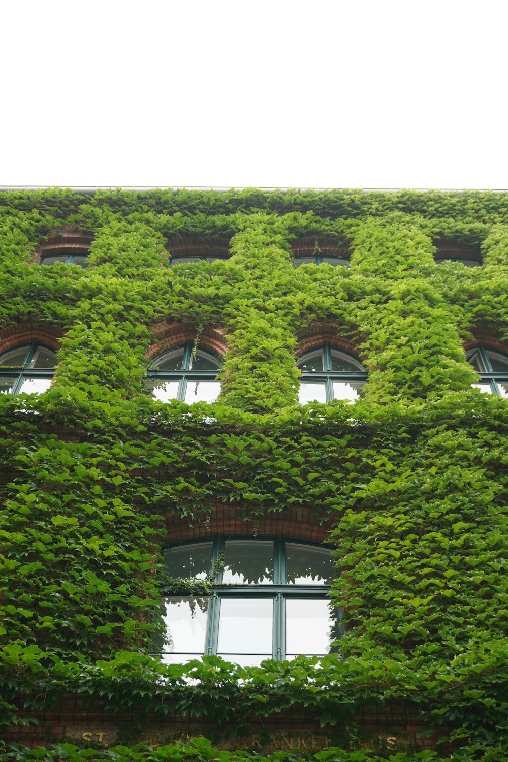 a building with ivy on it