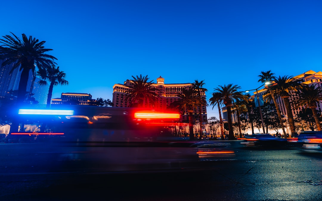 a street with palm trees and buildings,