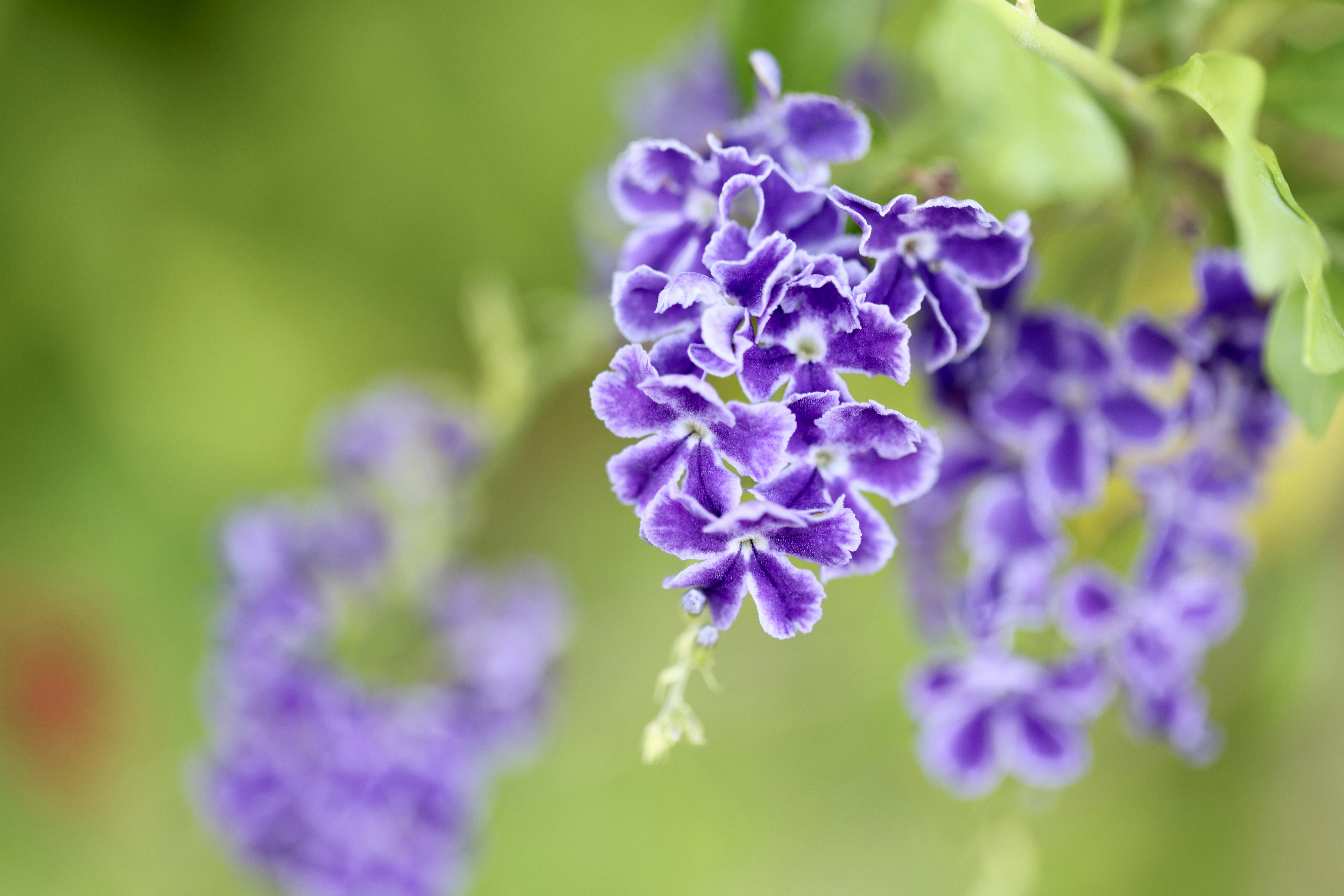 Photo by dickenslin76