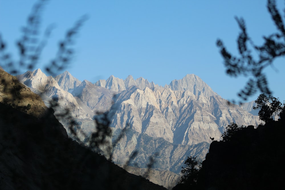 a snowy mountain with trees