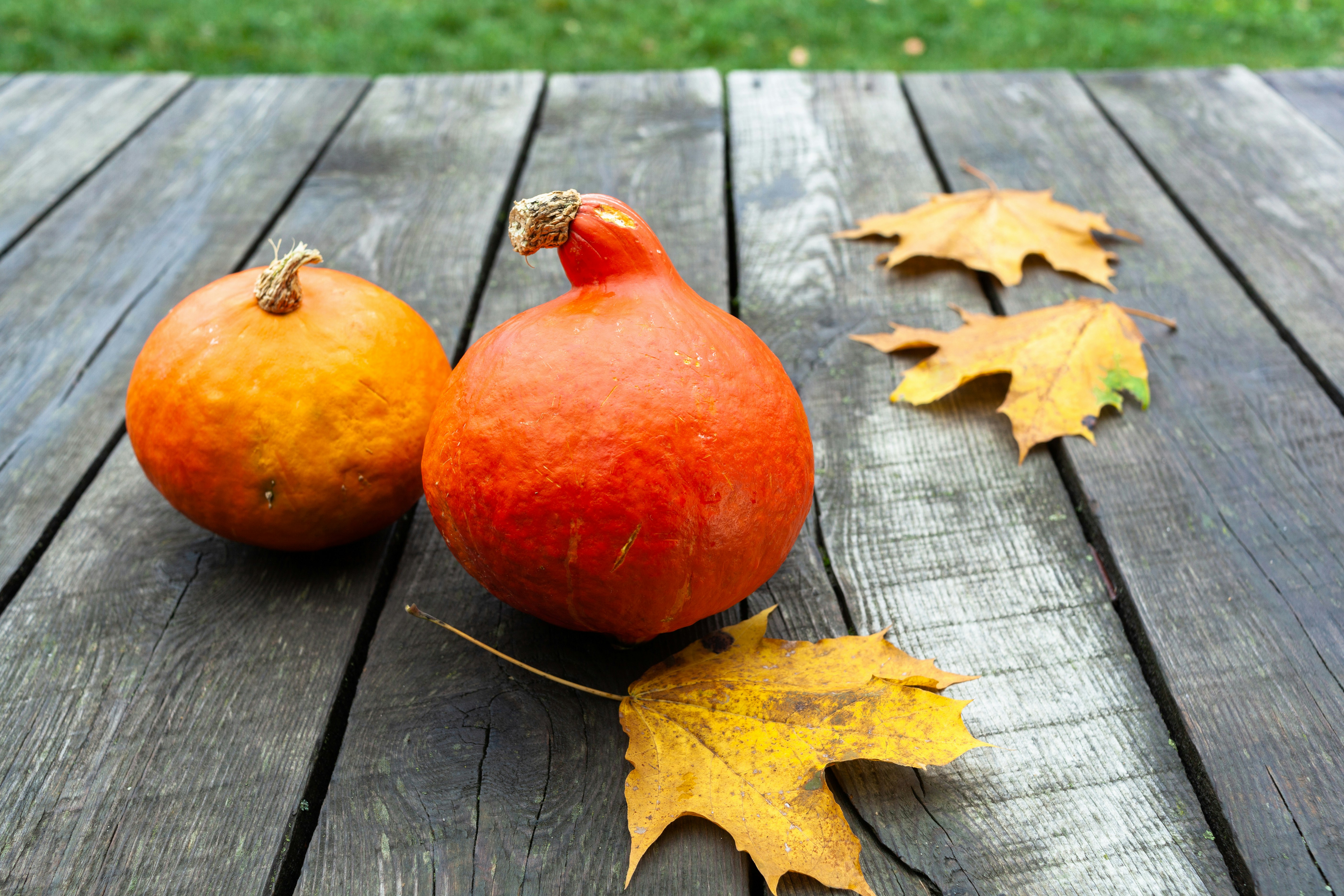 a couple of tomatoes on a wood deck