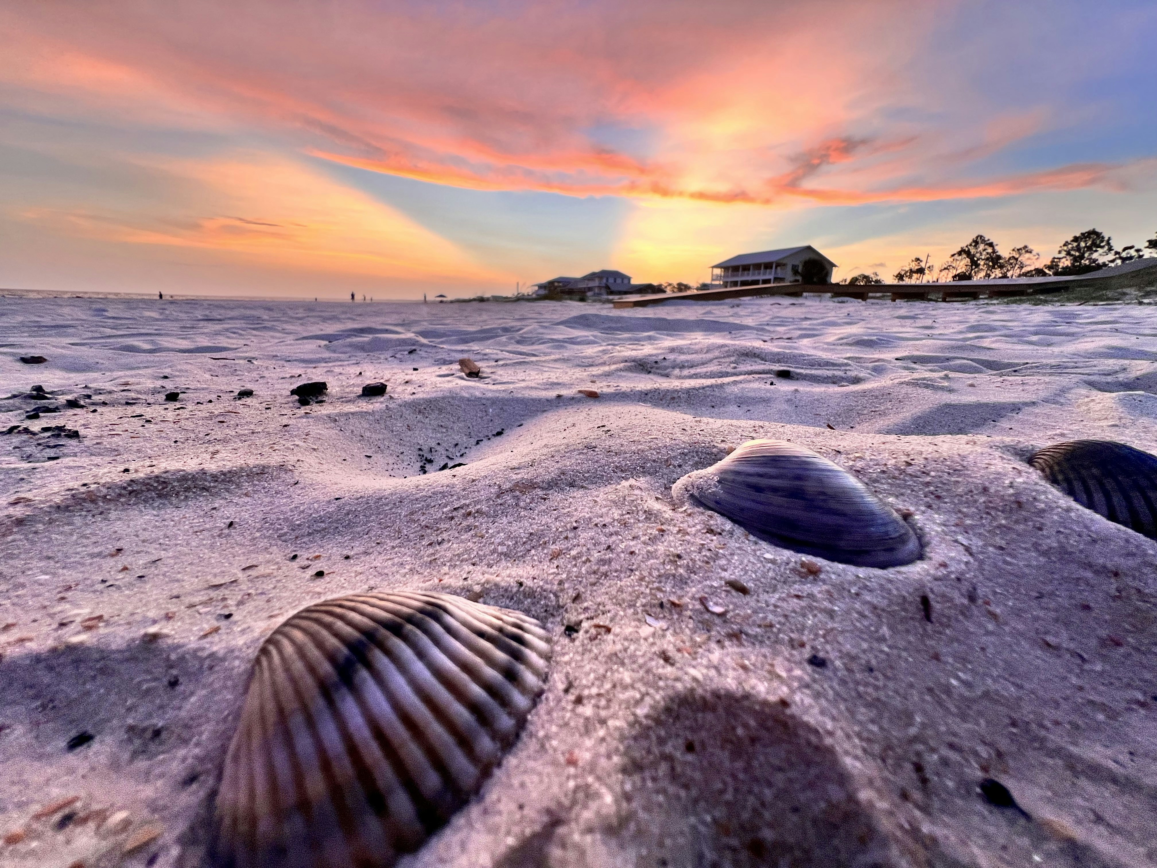 Shell Point, Florida